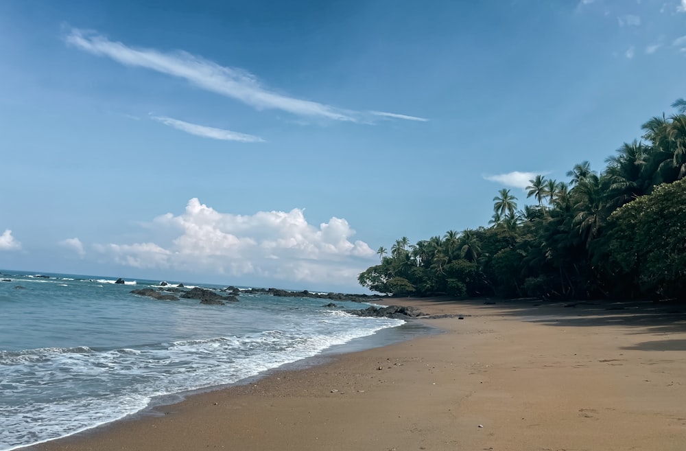 una playa de arena junto al océano bajo un cielo azul