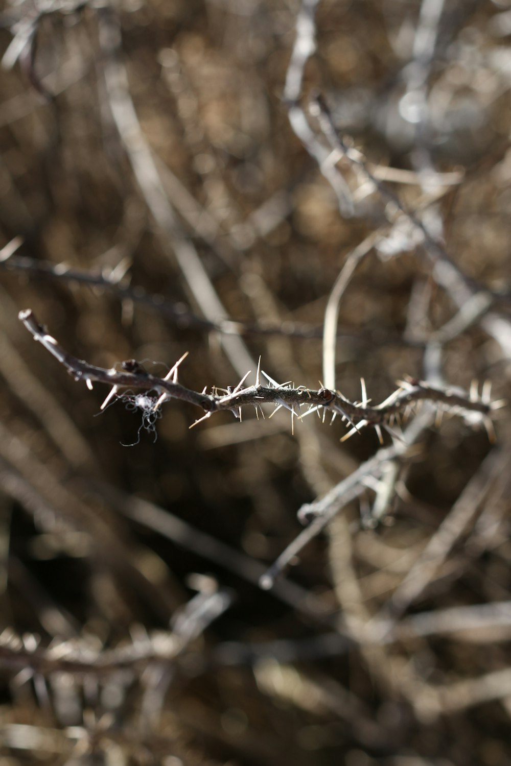 a close up of a barbed wire fence