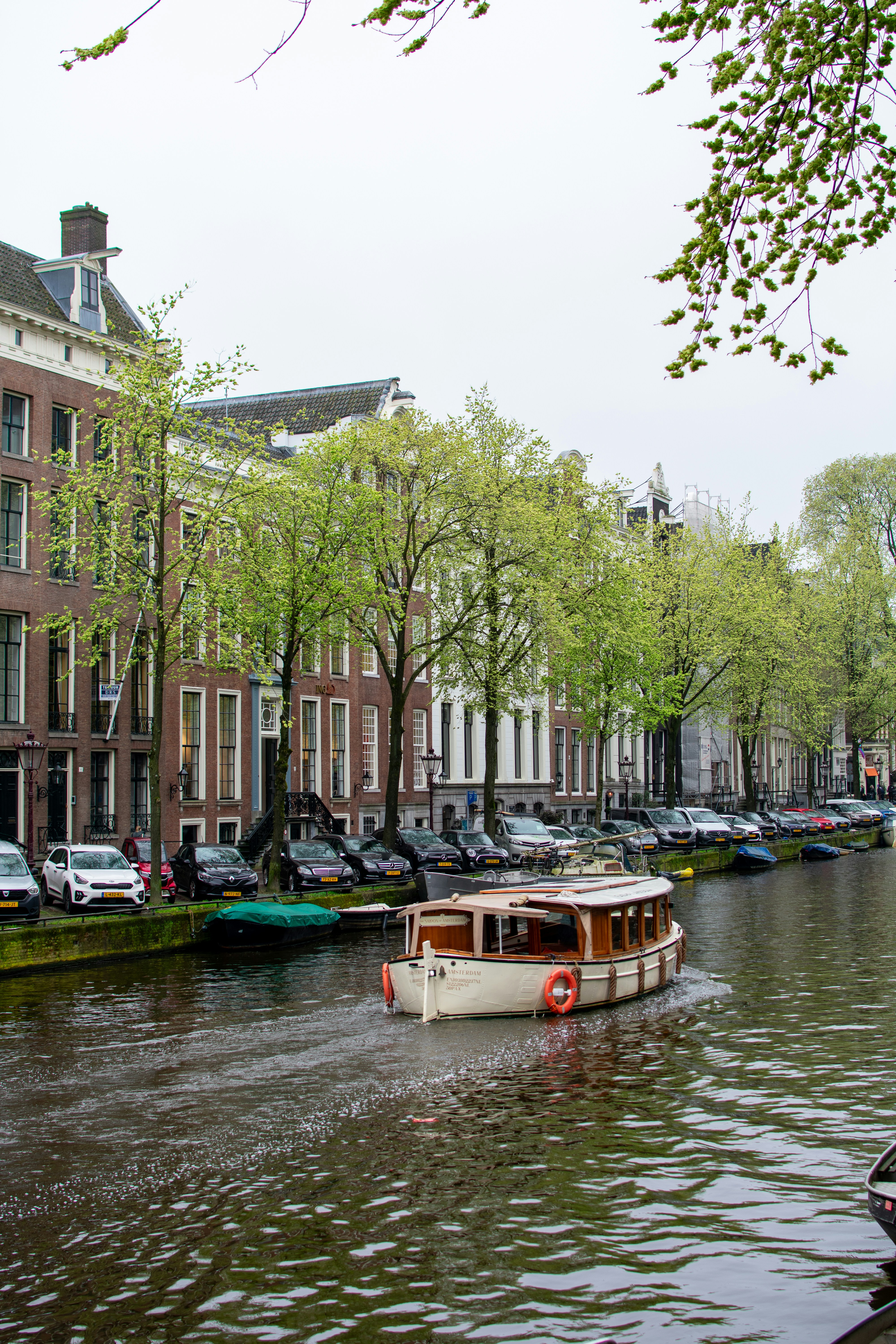 Photo by mirceadrian