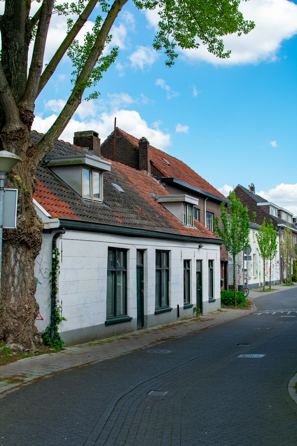 a street lined with houses and trees on a sunny day