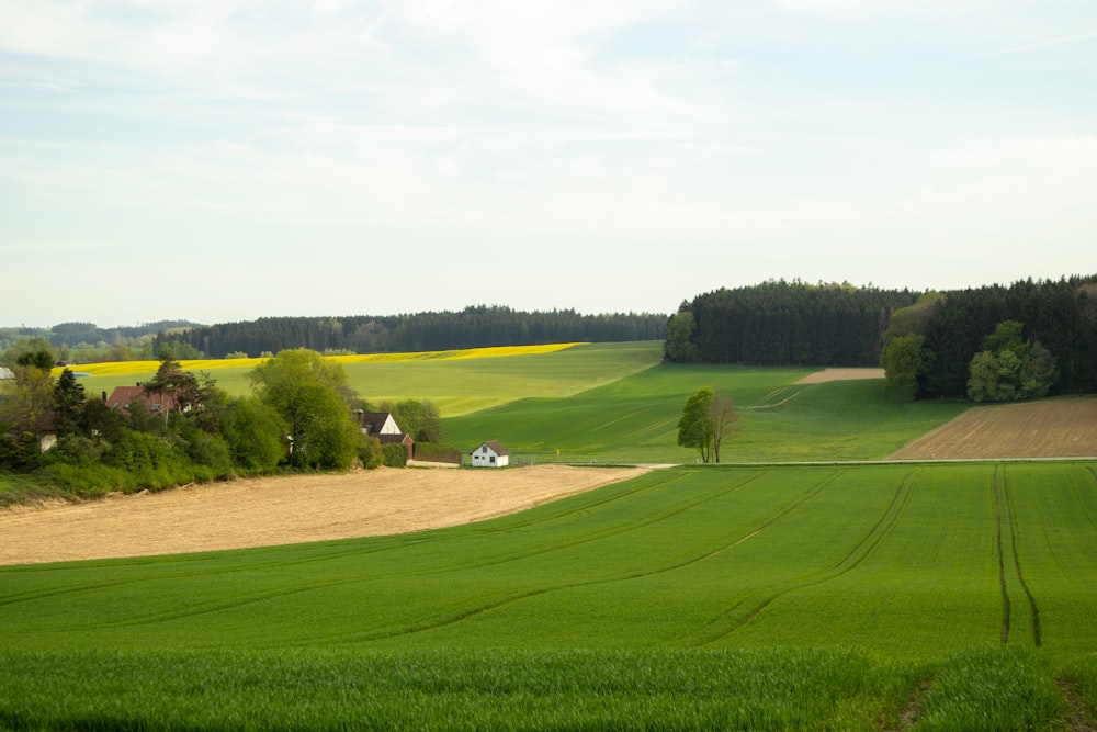 a green field with a house in the distance