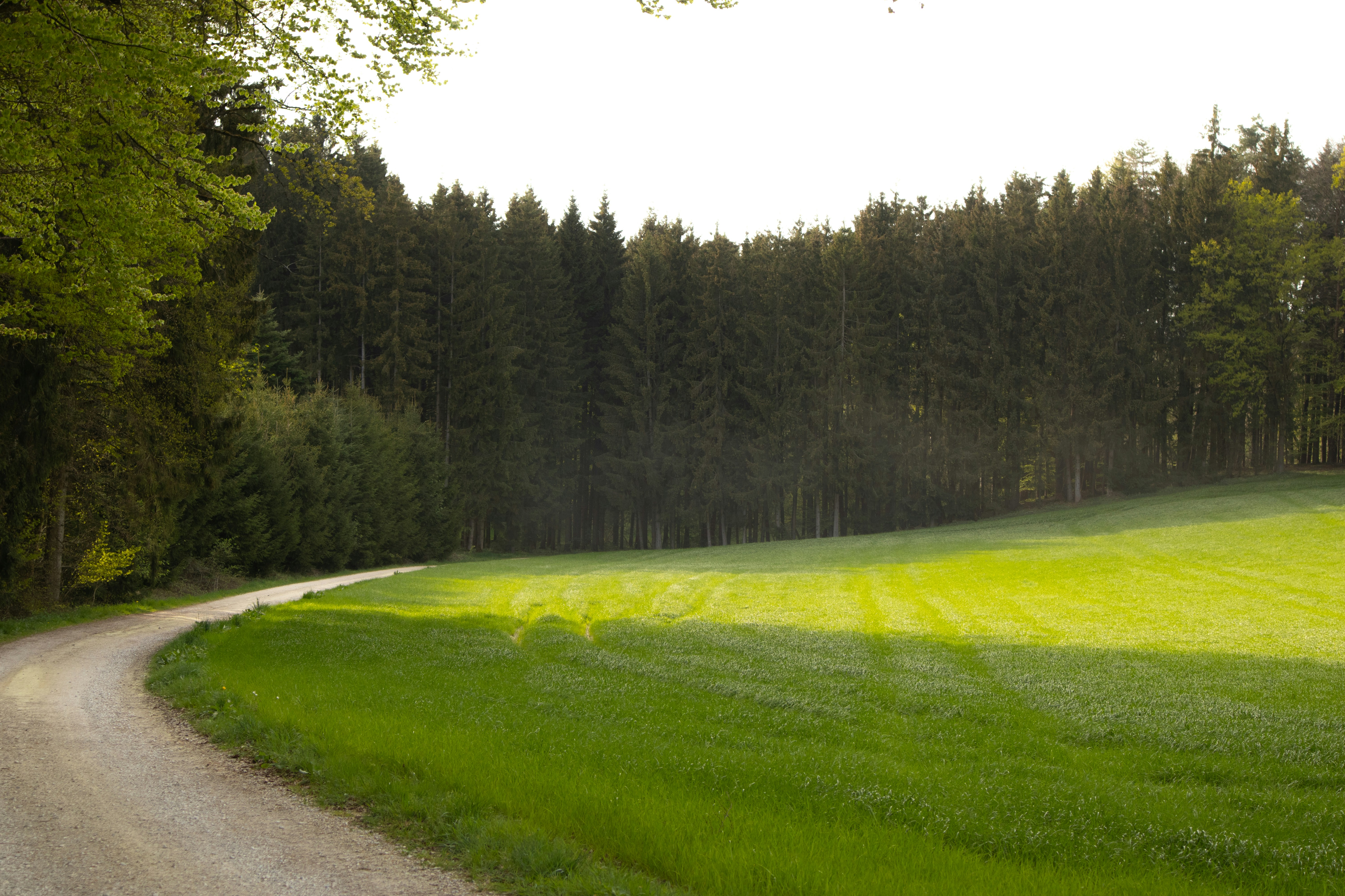 Photo by marko_lengyel