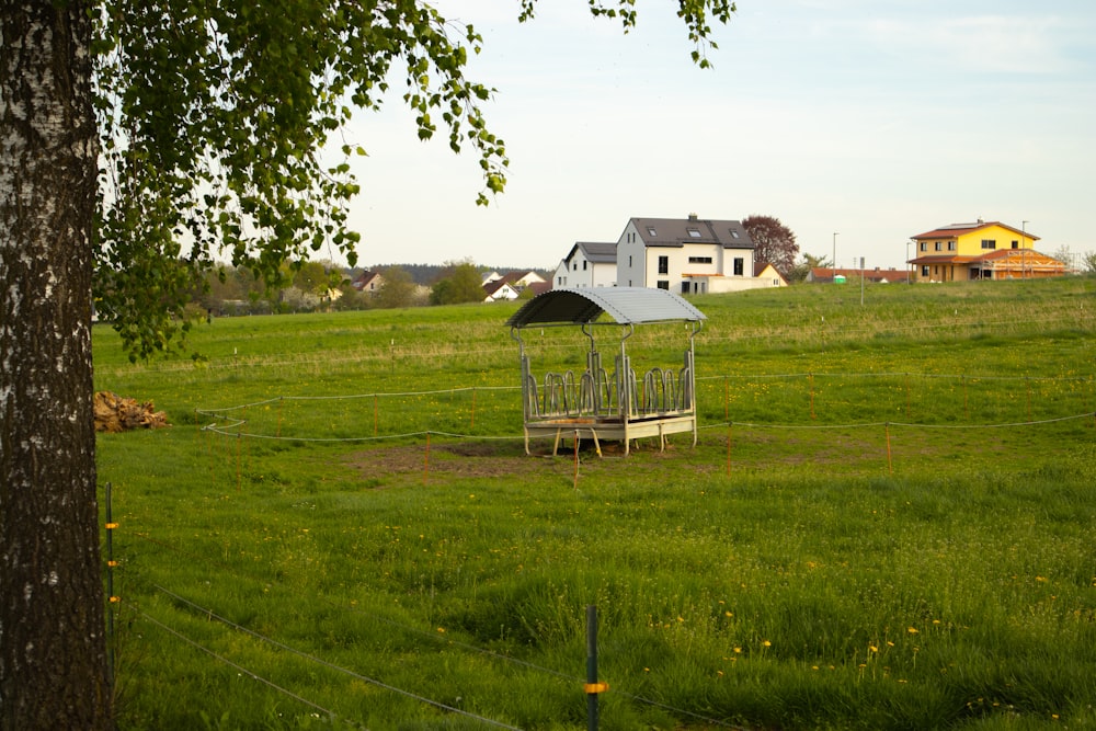 Un campo verde con una casa al fondo