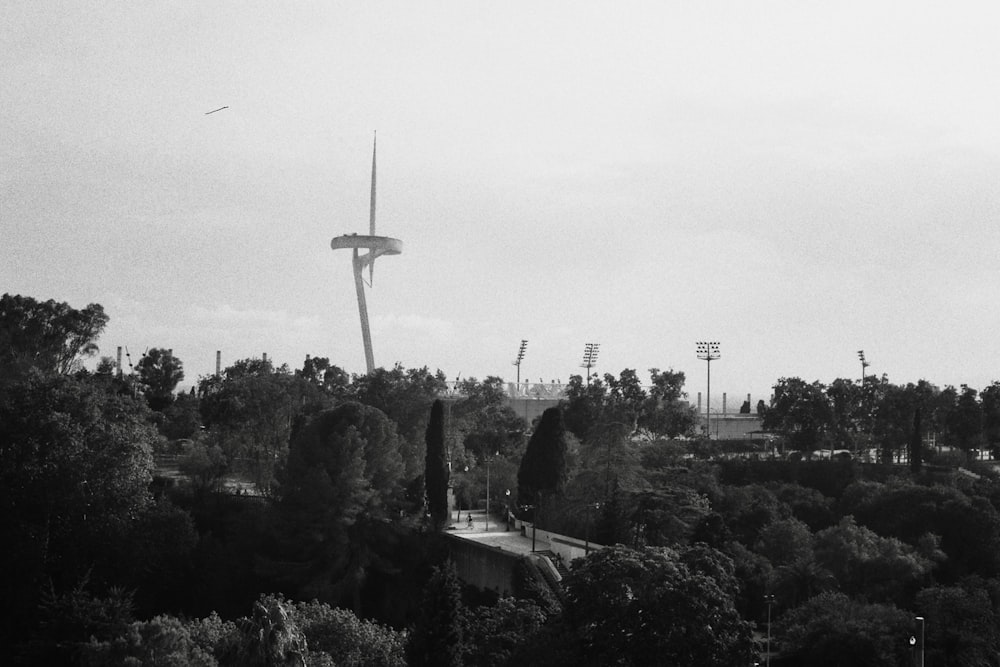 a black and white photo of a park with trees