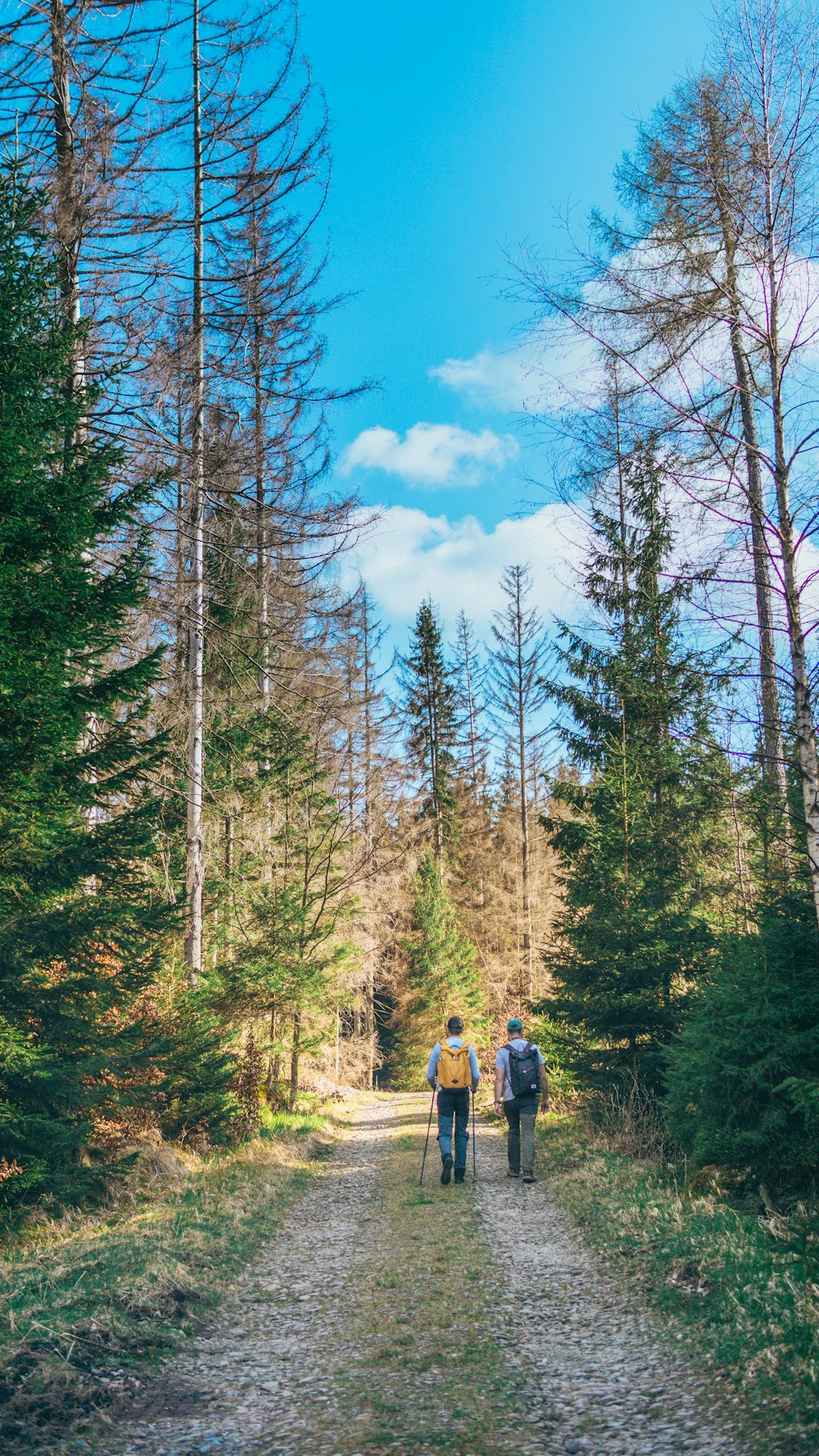 a couple of people walking down a dirt road