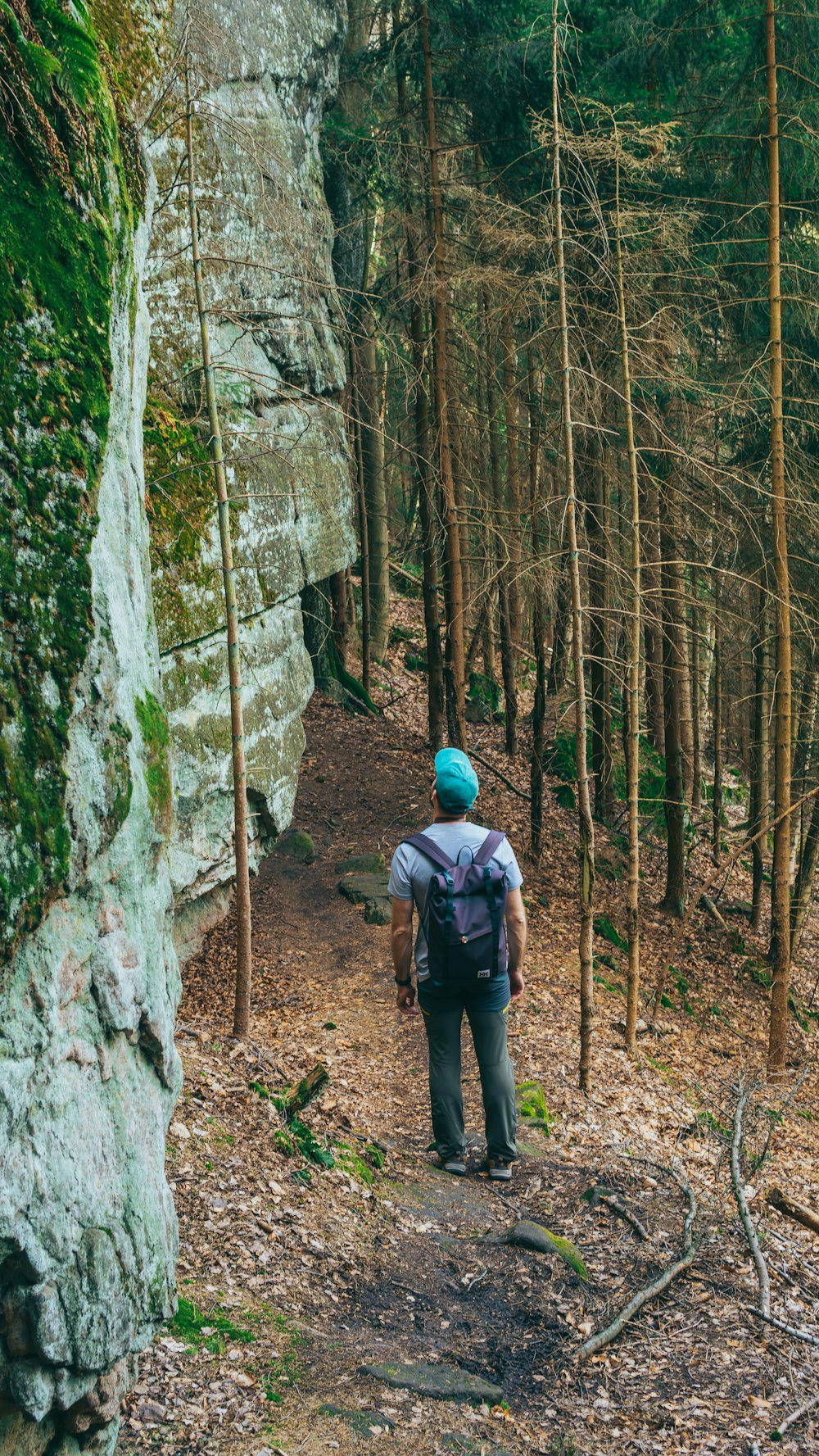 a person with a backpack walking up a trail in the woods
