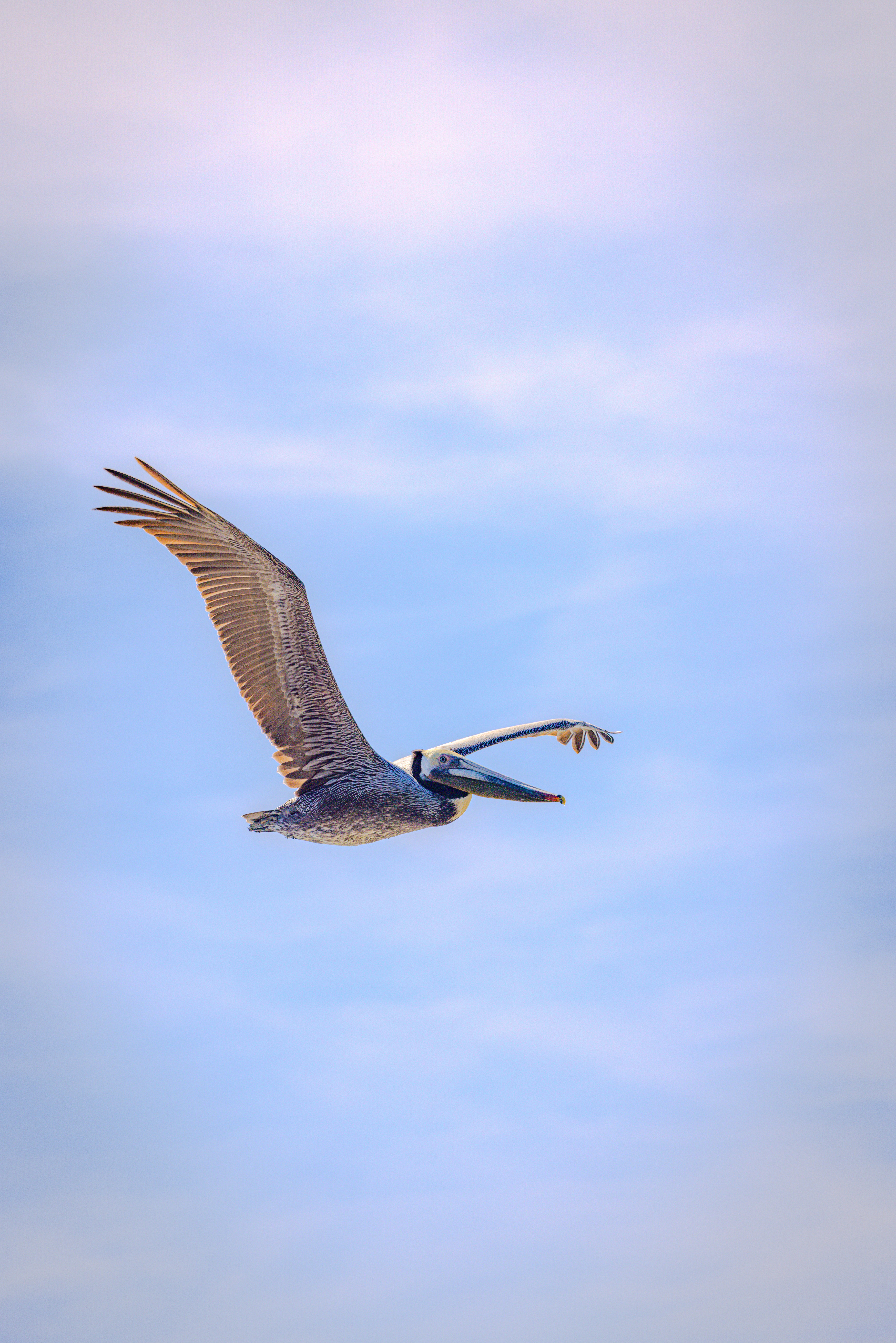 Photo by mhmdgali1975