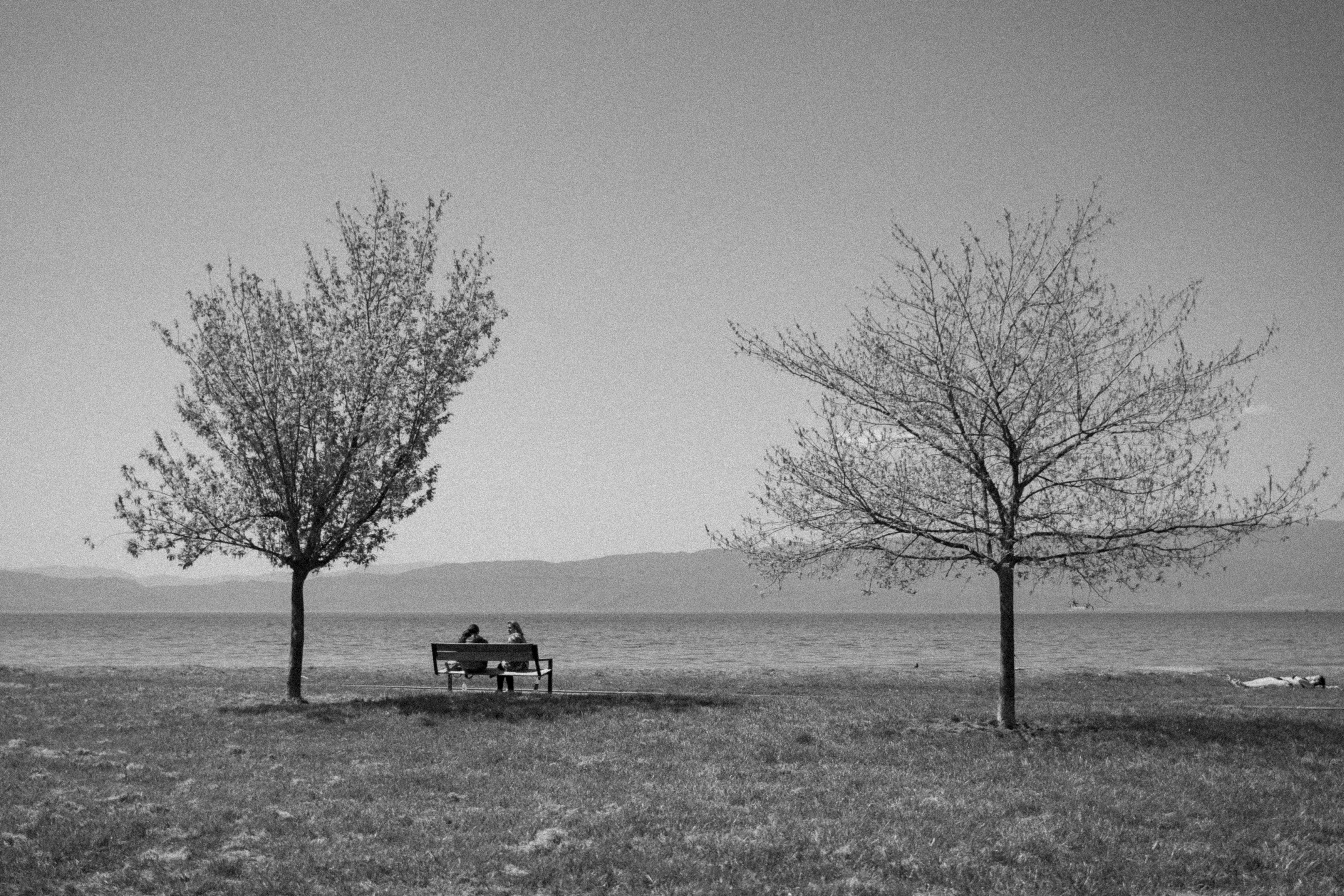 Photo by andreevaleksandar