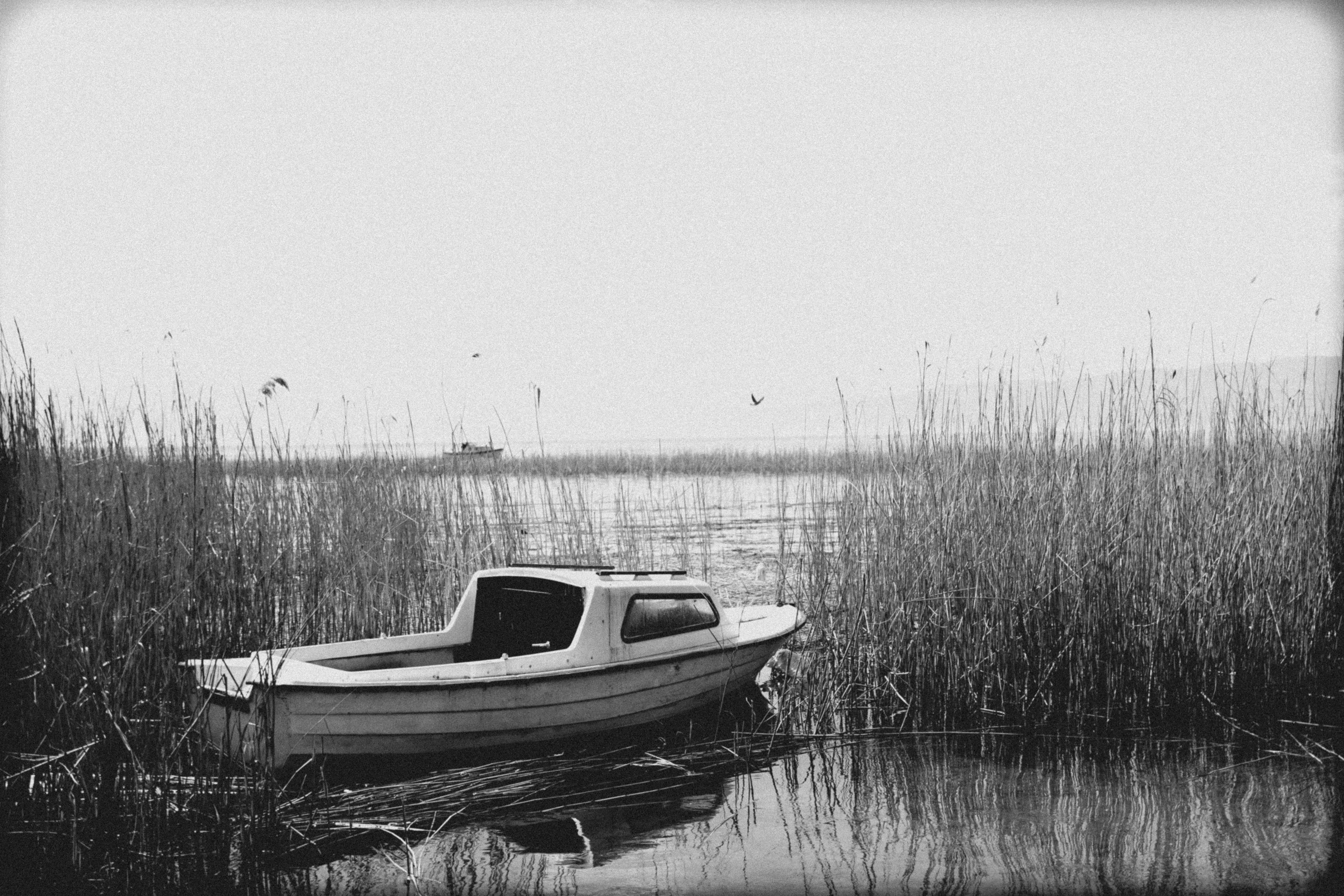 Photo by andreevaleksandar