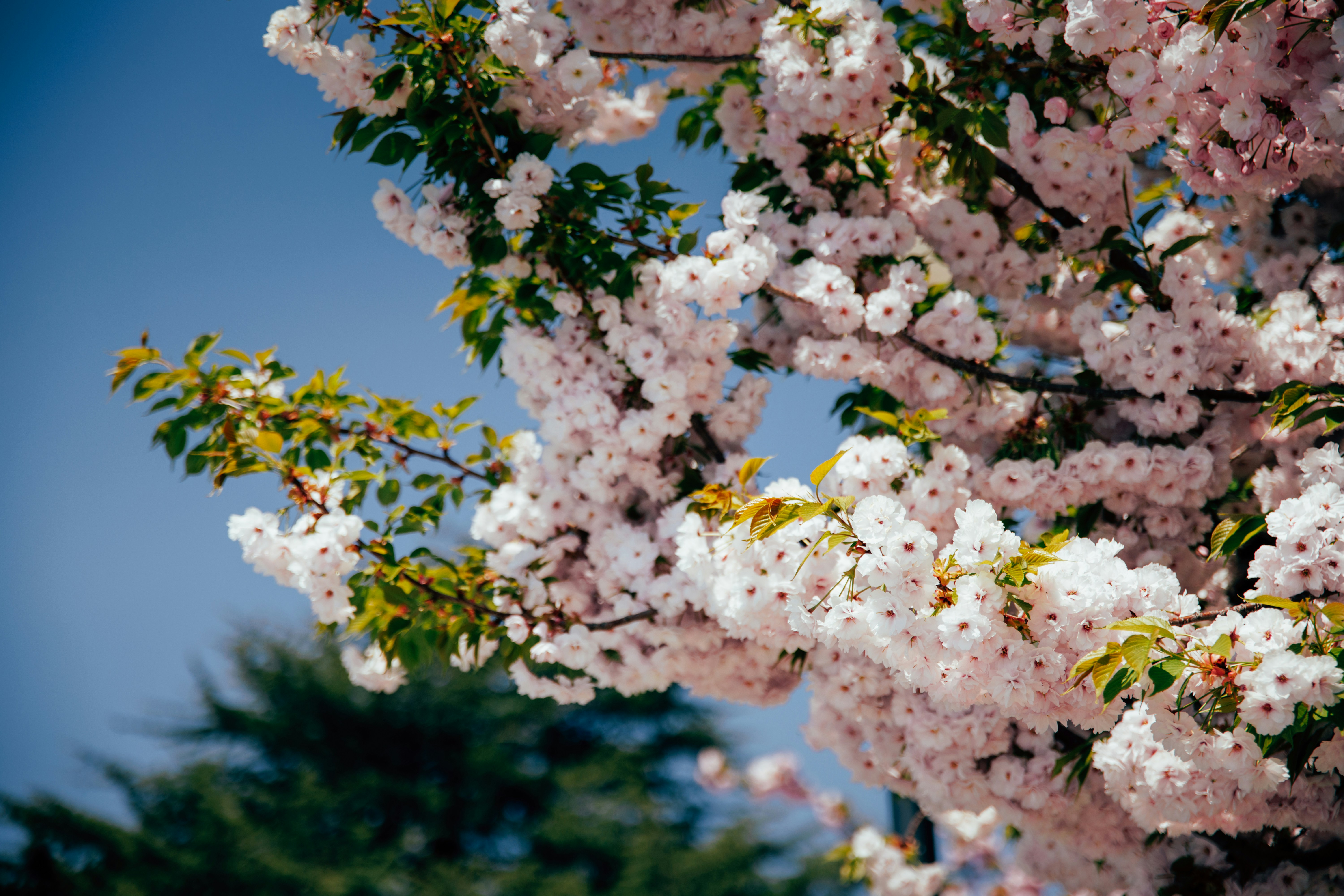 Photo by andreevaleksandar