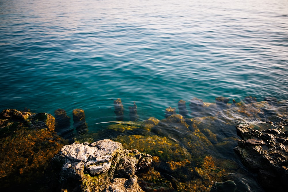 a body of water surrounded by rocks and algae