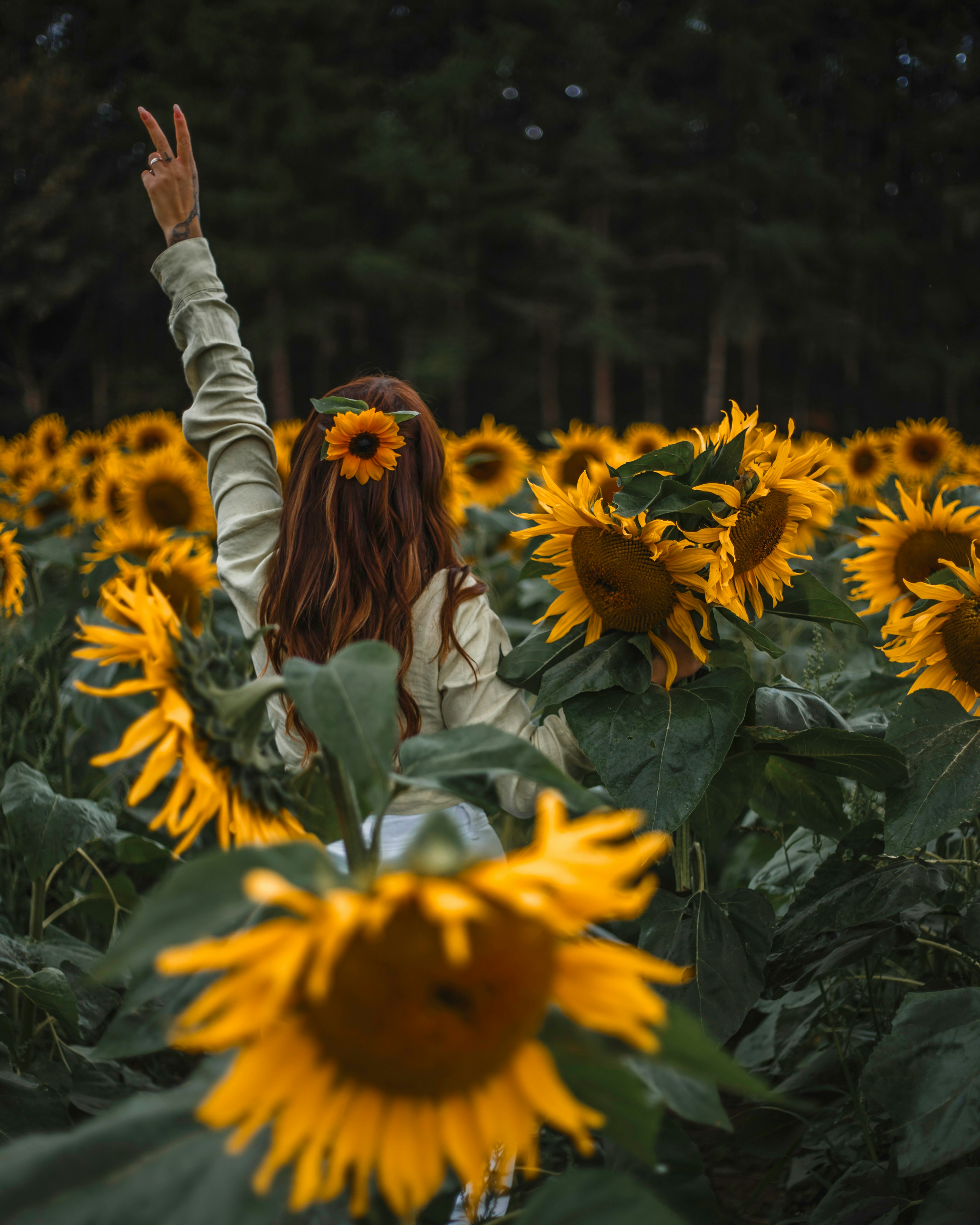 eine Frau, die in einem Feld mit Sonnenblumen steht