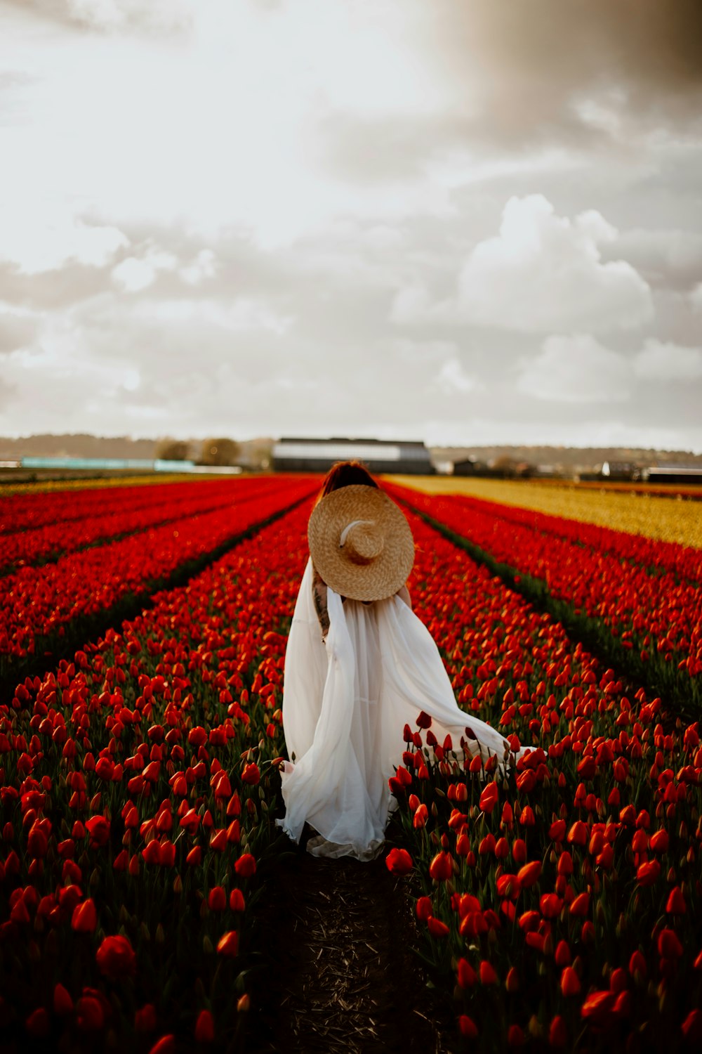 a woman in a hat walks through a field of tulips