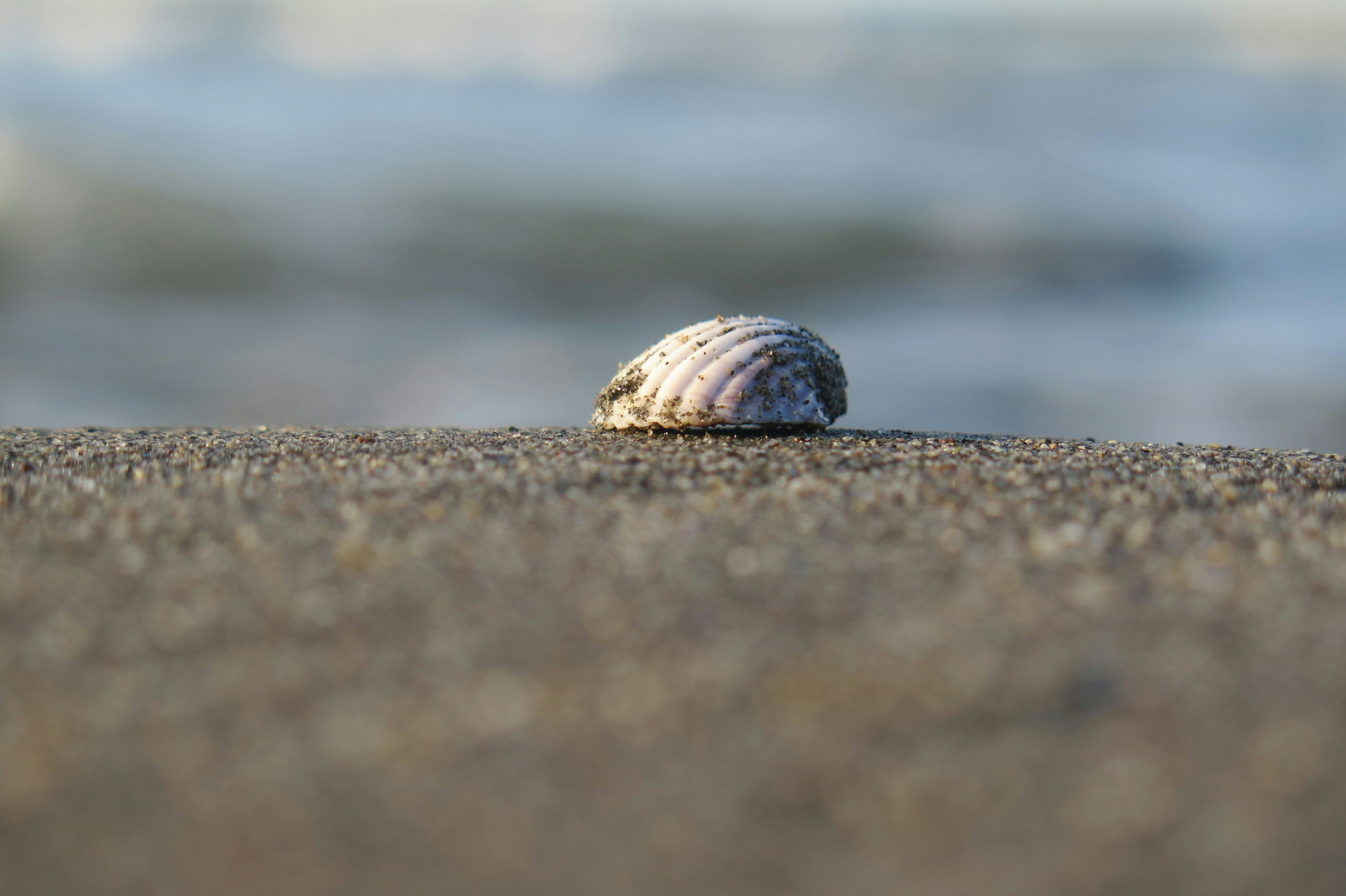 Photo by hamidrezaunsplash007