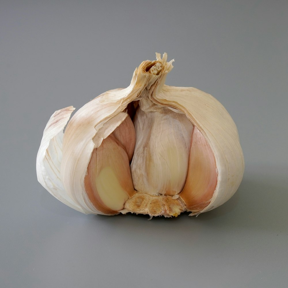a close up of a garlic on a gray background