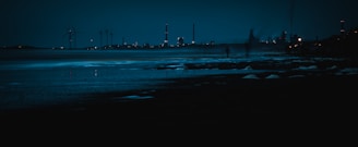 a view of a city at night from a beach