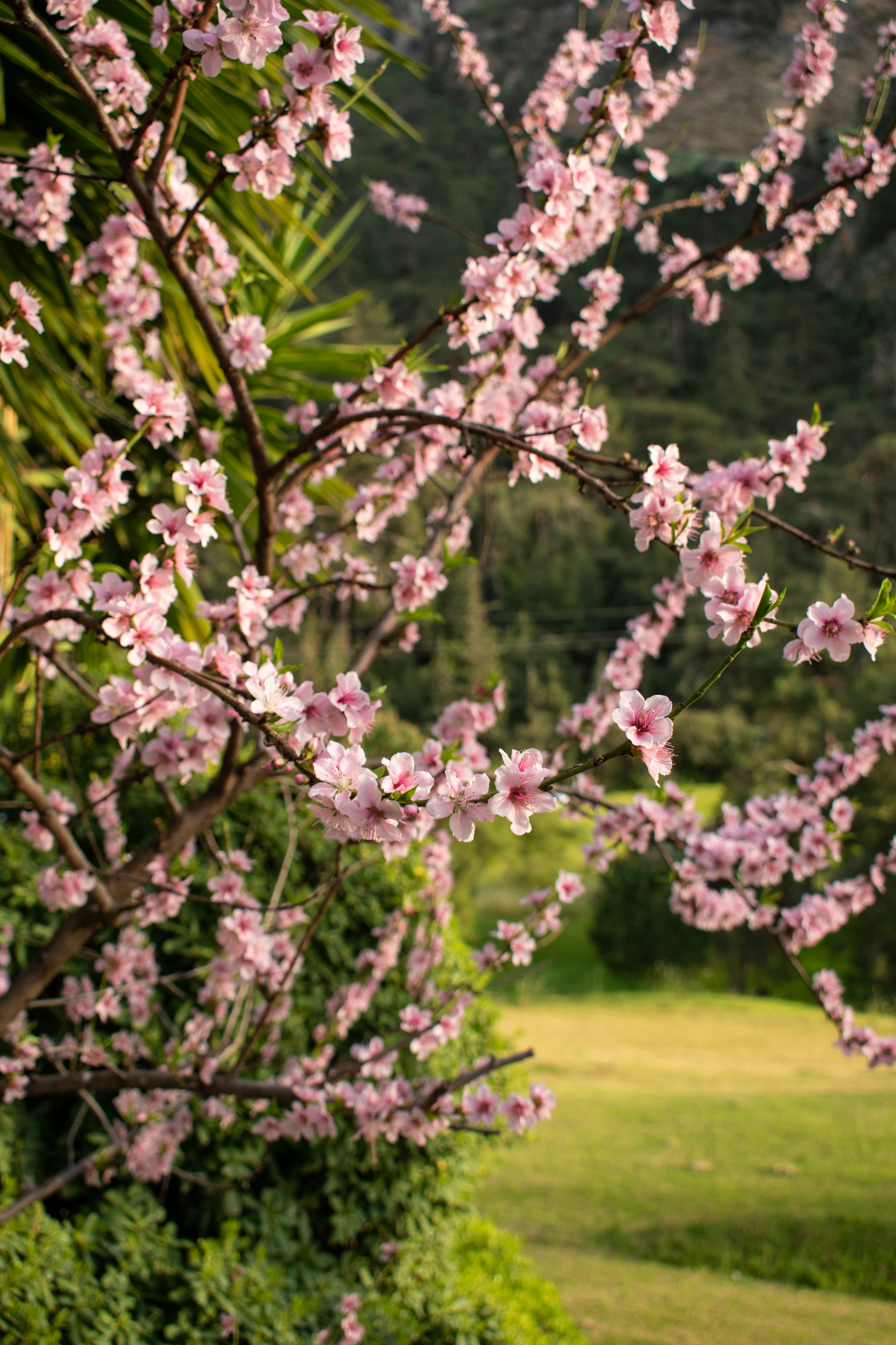 Photo by linasahin23