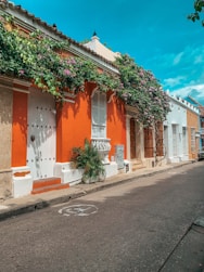 a row of houses with flowers growing on the windows