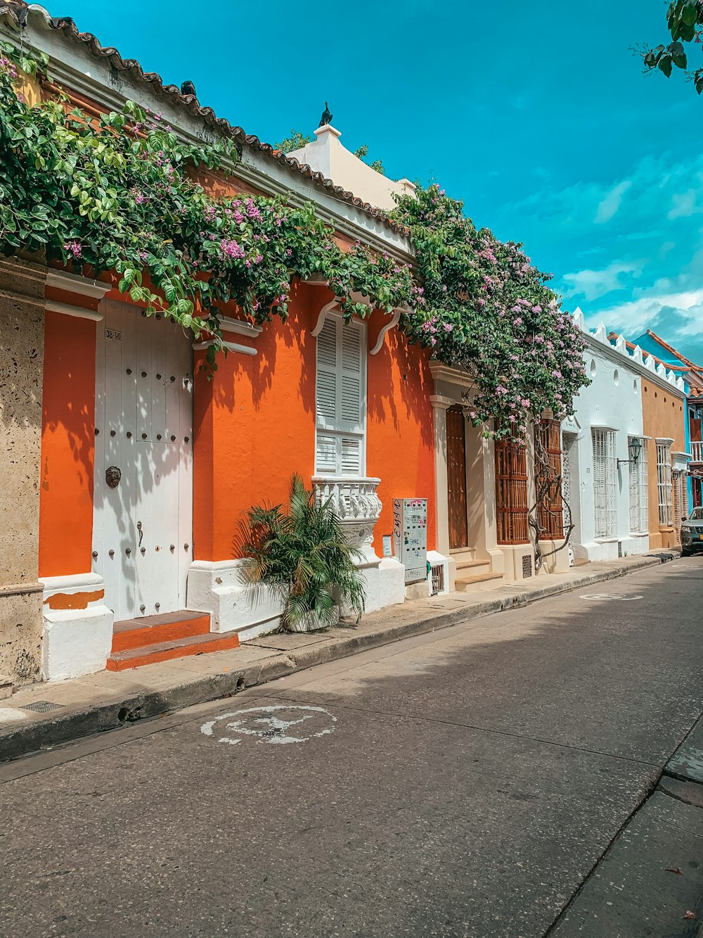 a row of houses with flowers growing on the windows