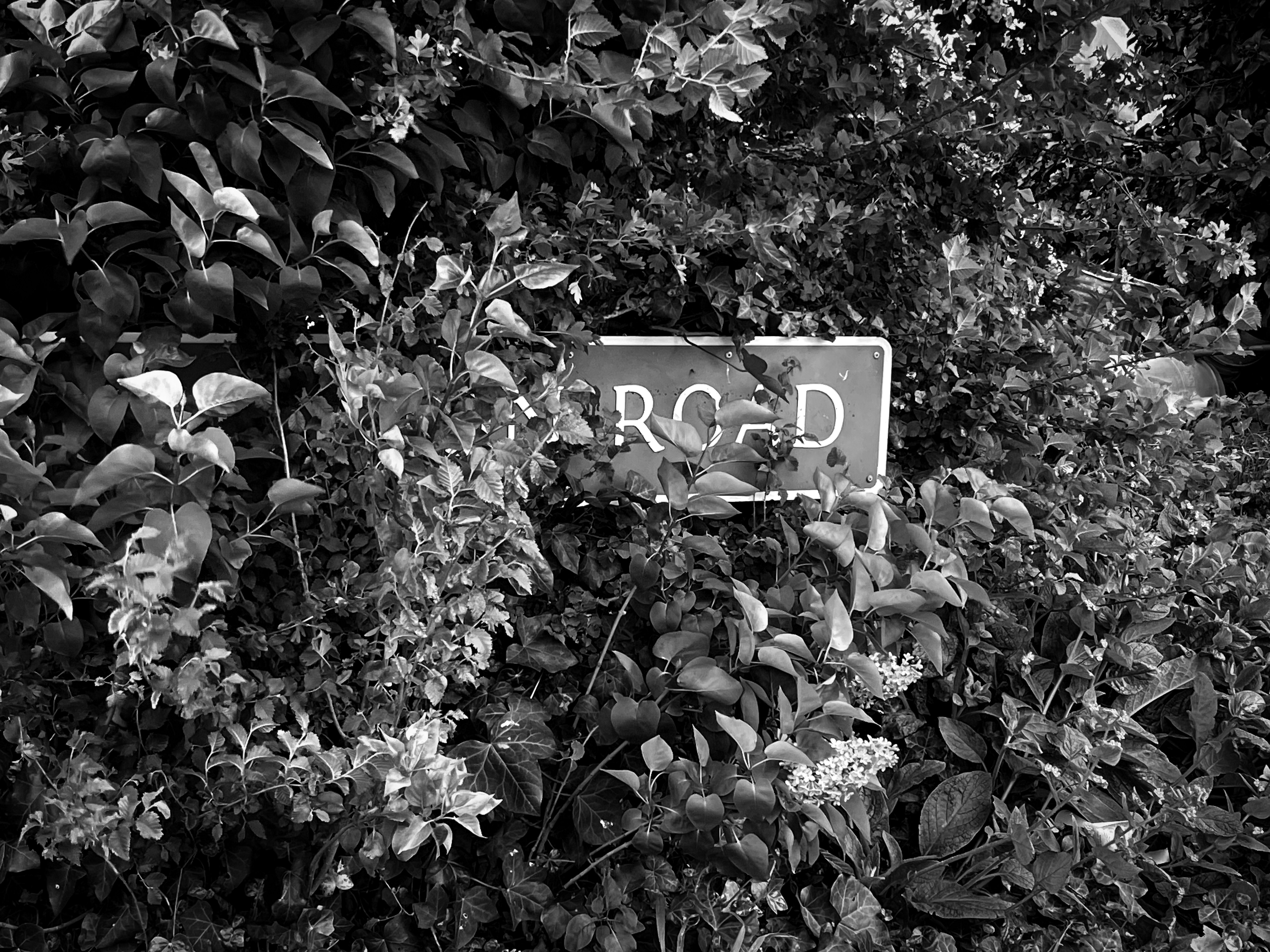 Richard F. Anway Park