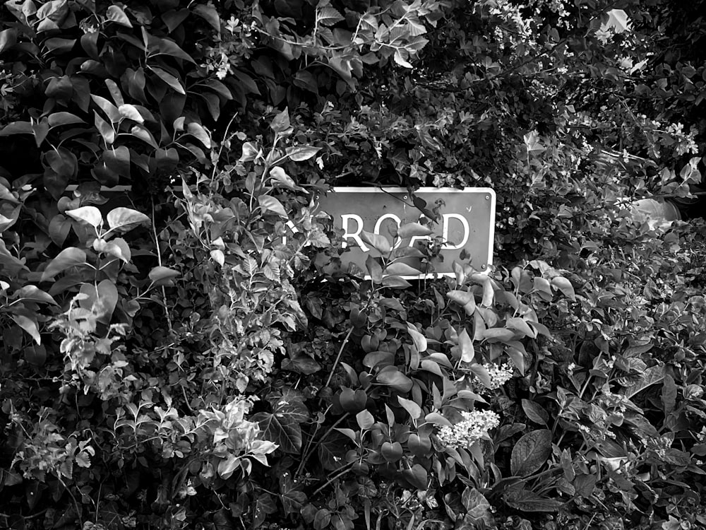 a black and white photo of a road sign