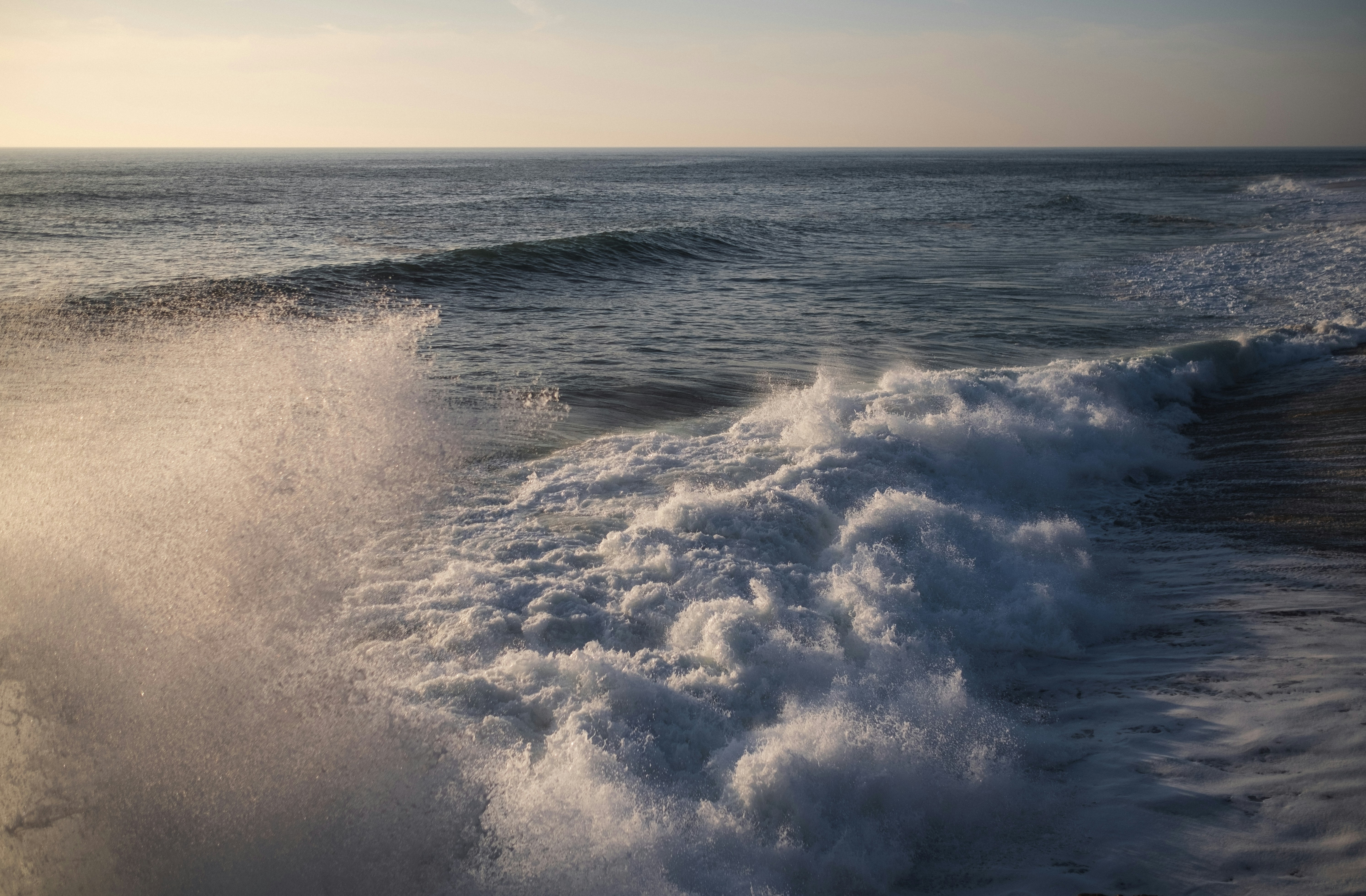 Photo by damian_ochrymowicz