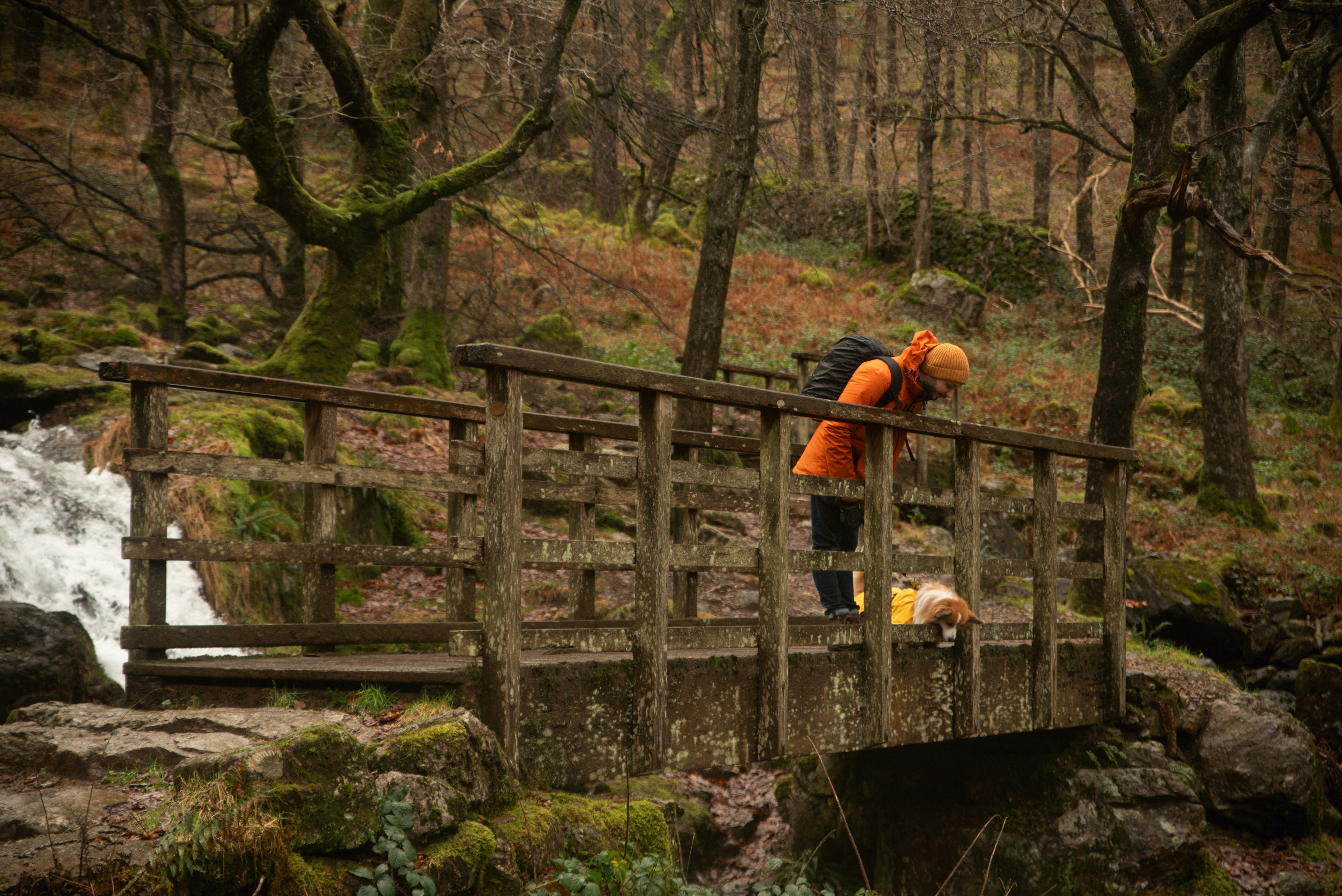 a person standing on a bridge over a stream