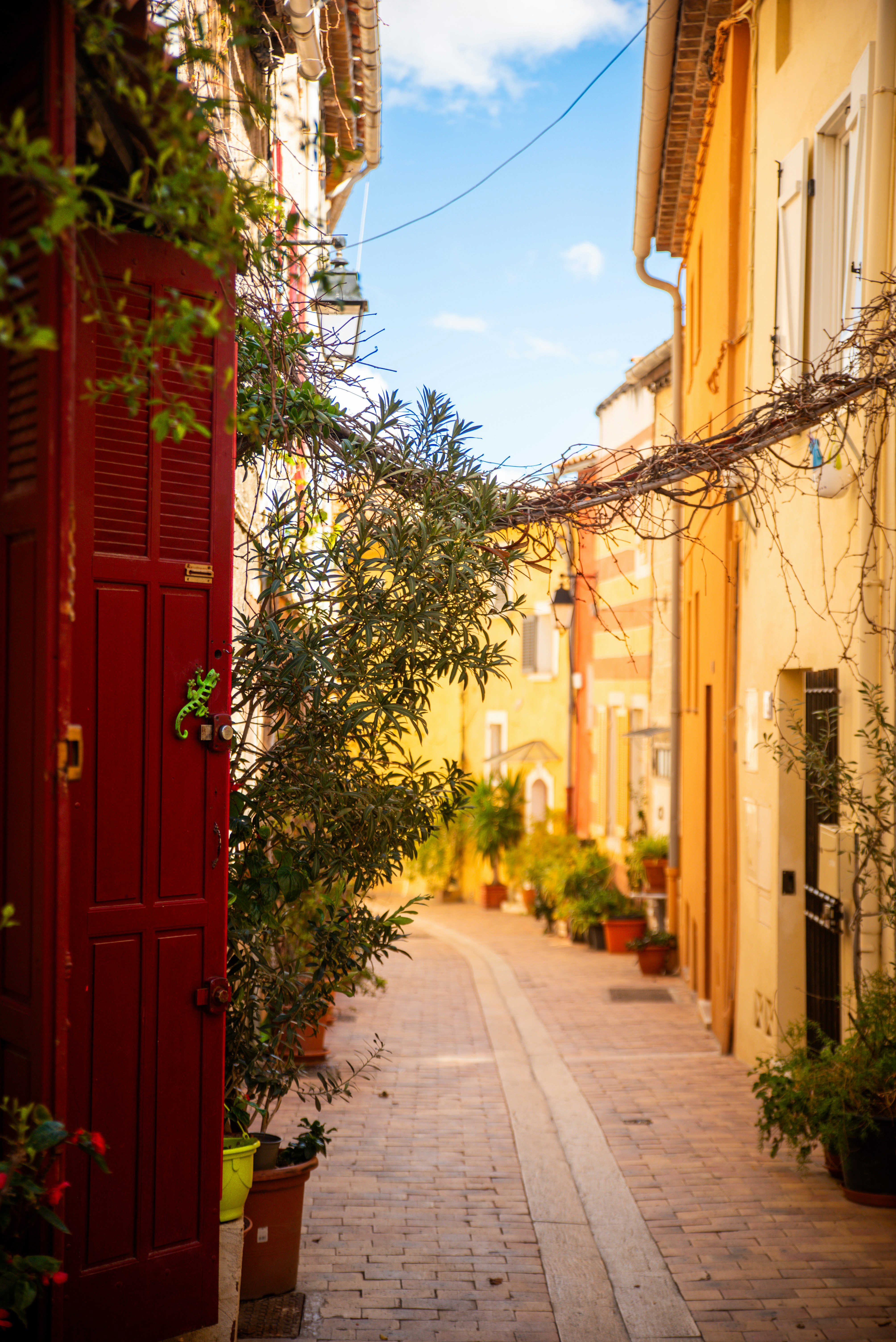 Photo by zoe_jackson