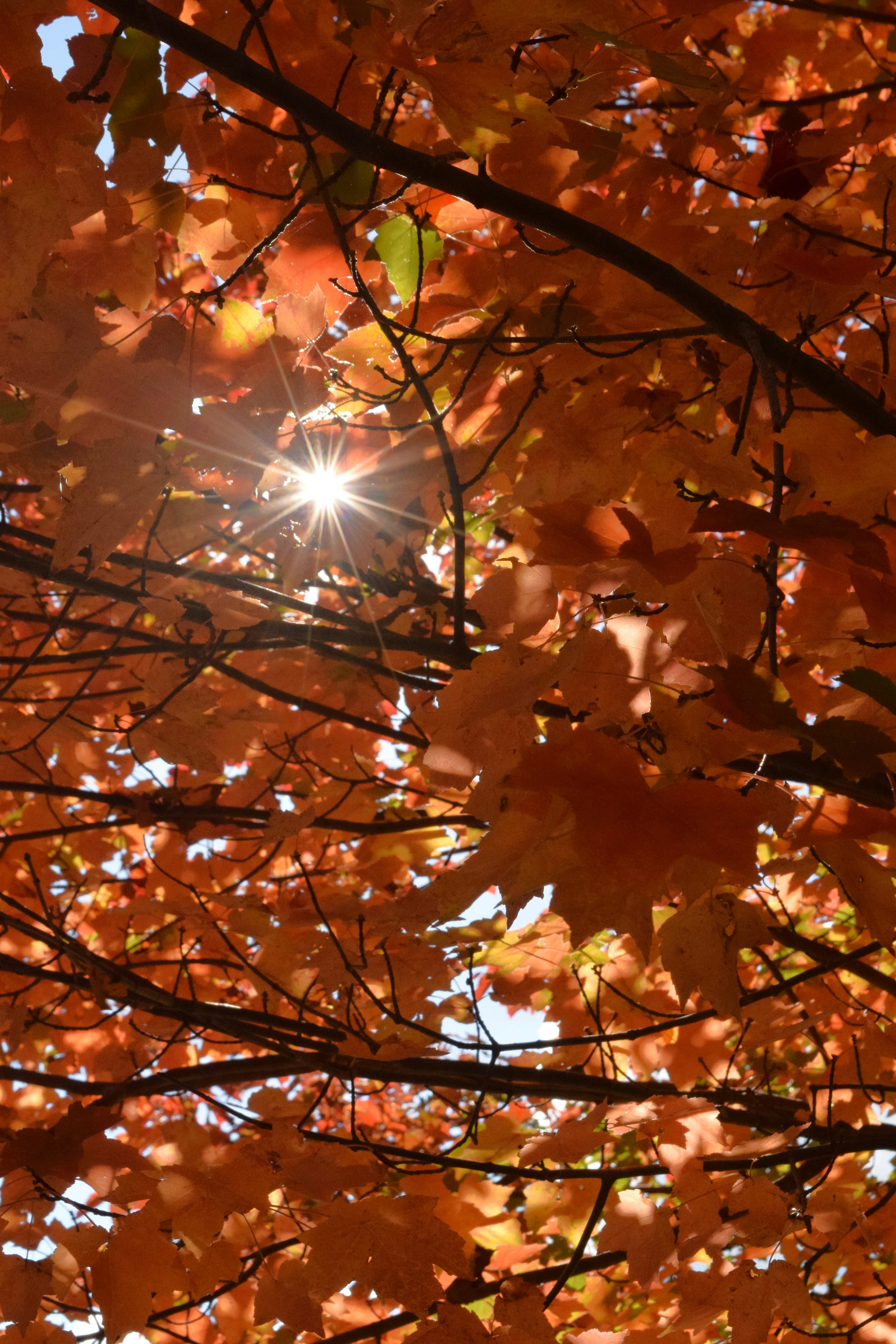 Photo by ch_photography