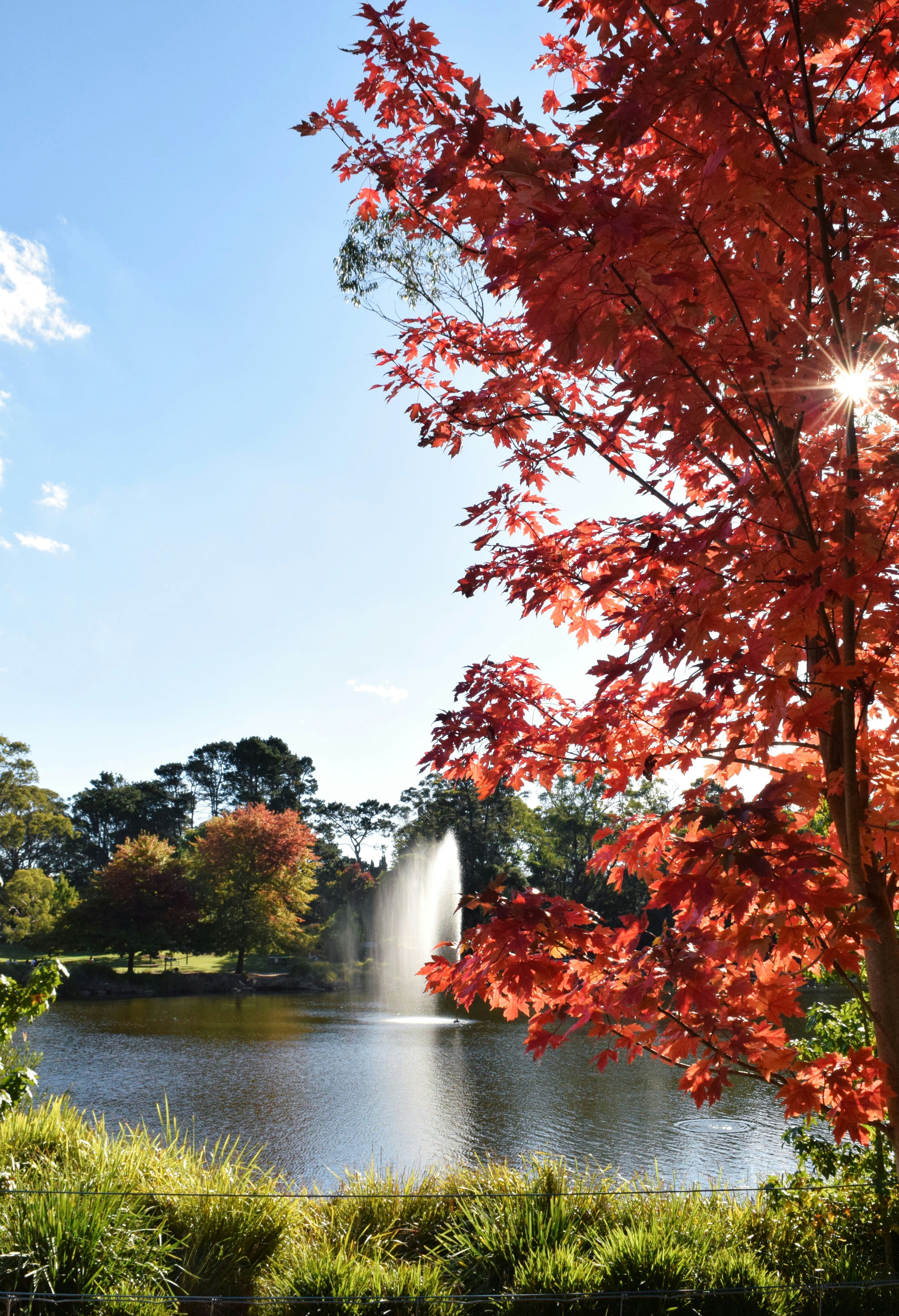 Photo by ch_photography