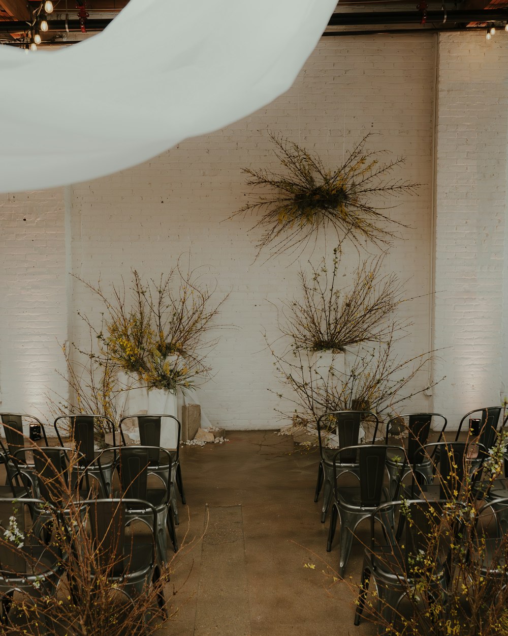 a room filled with lots of chairs covered in plants