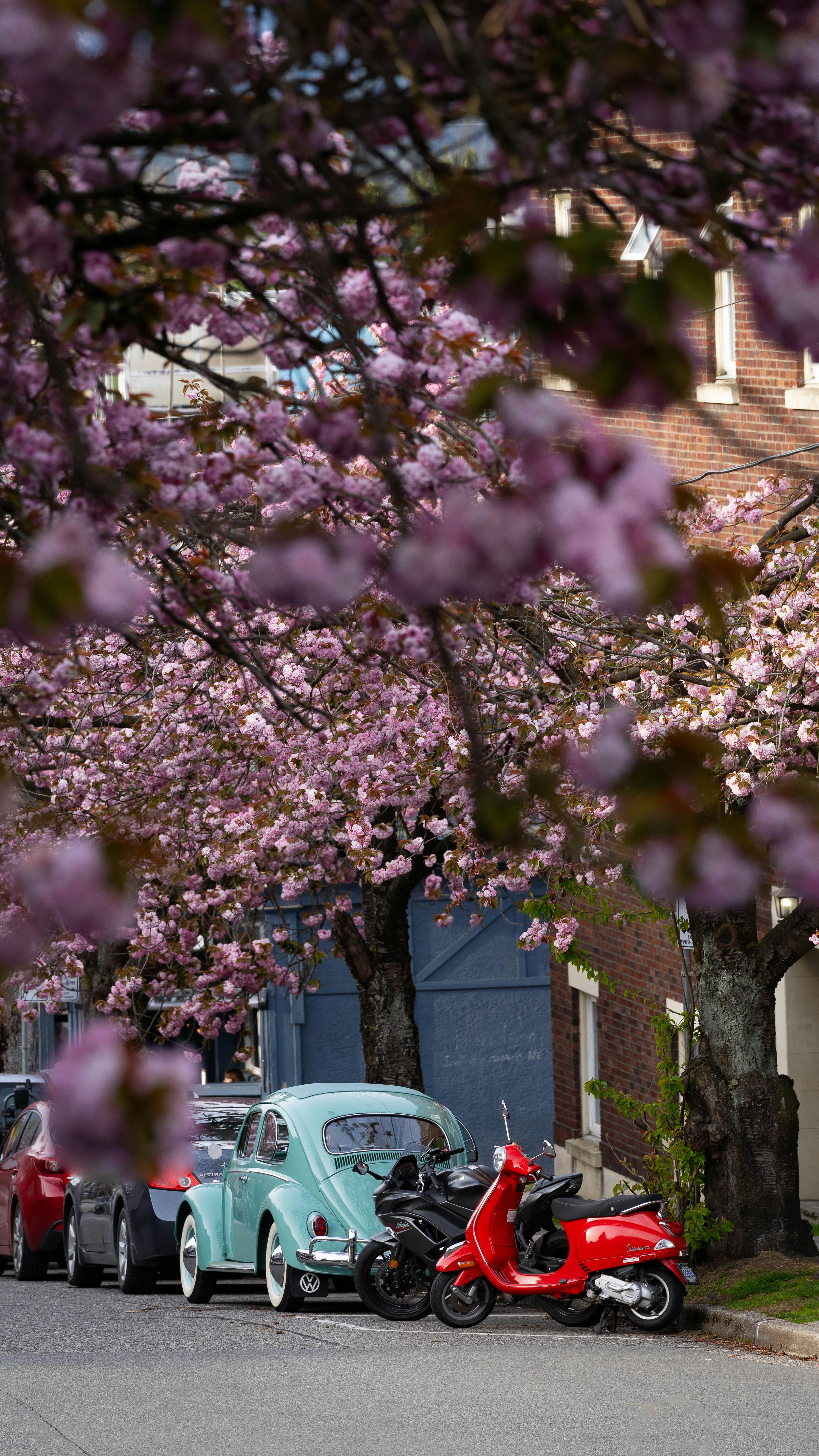 Photo by kayvanmazhar