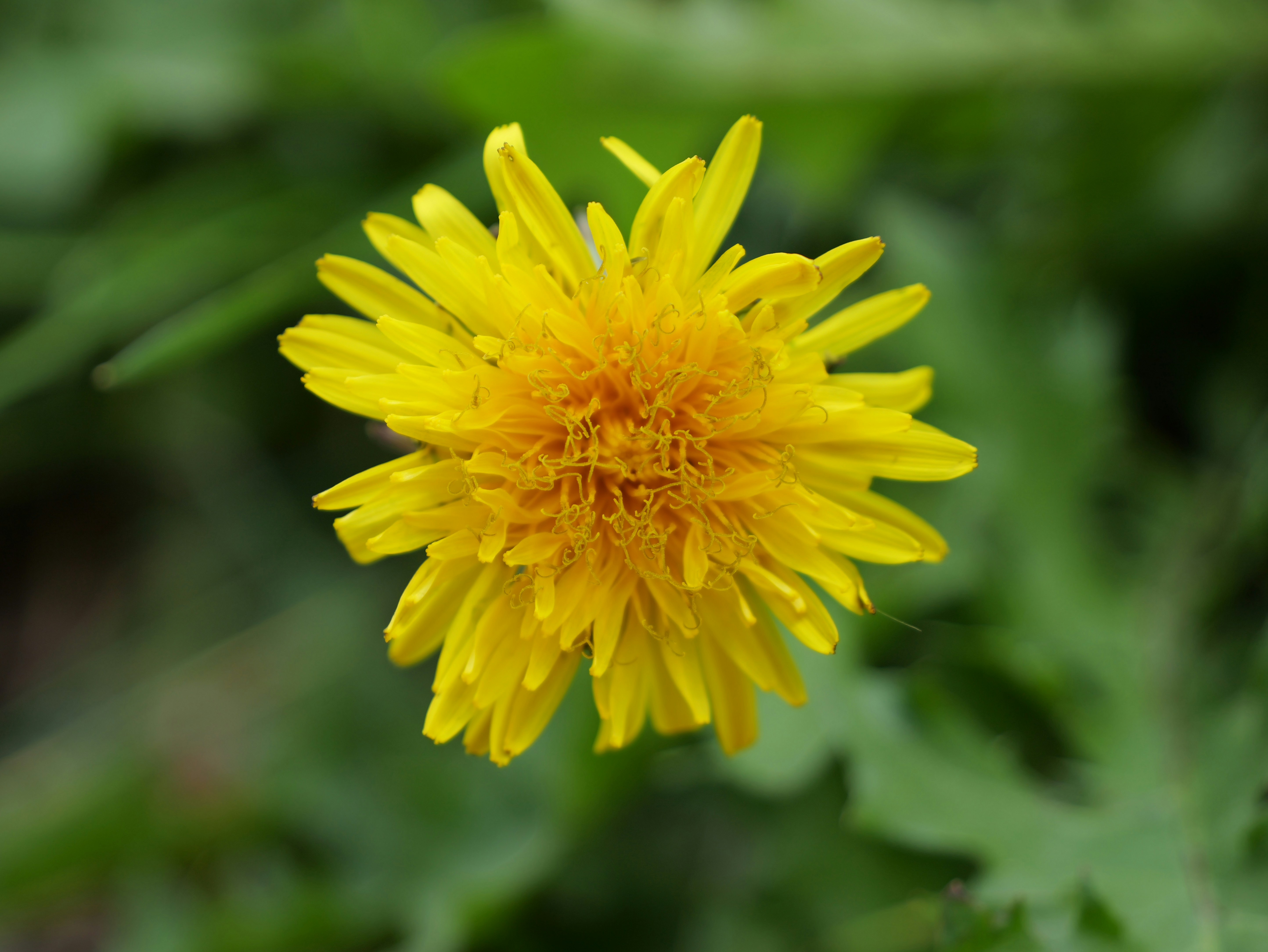 Photo by karonthompson