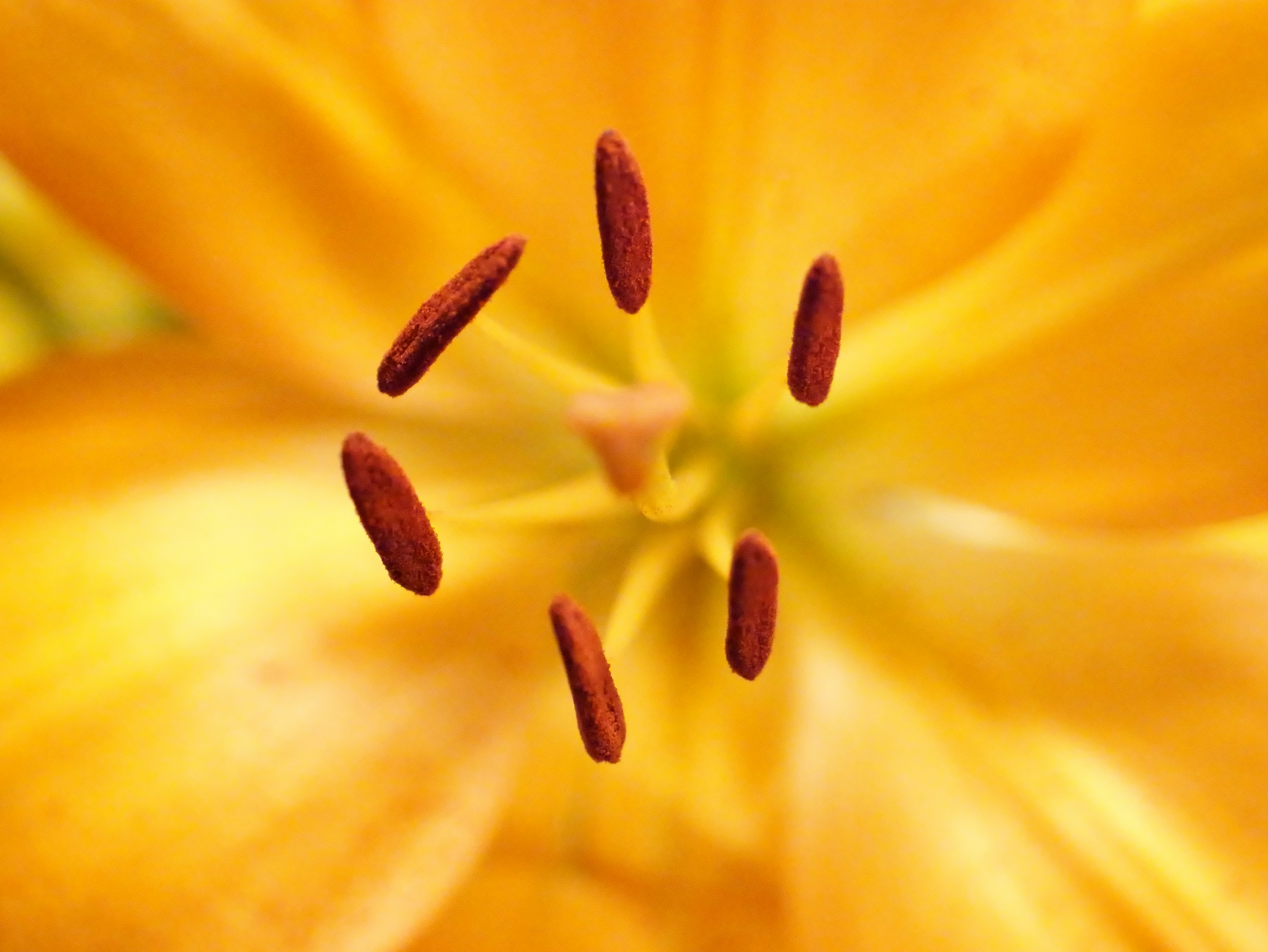 Photo by karonthompson