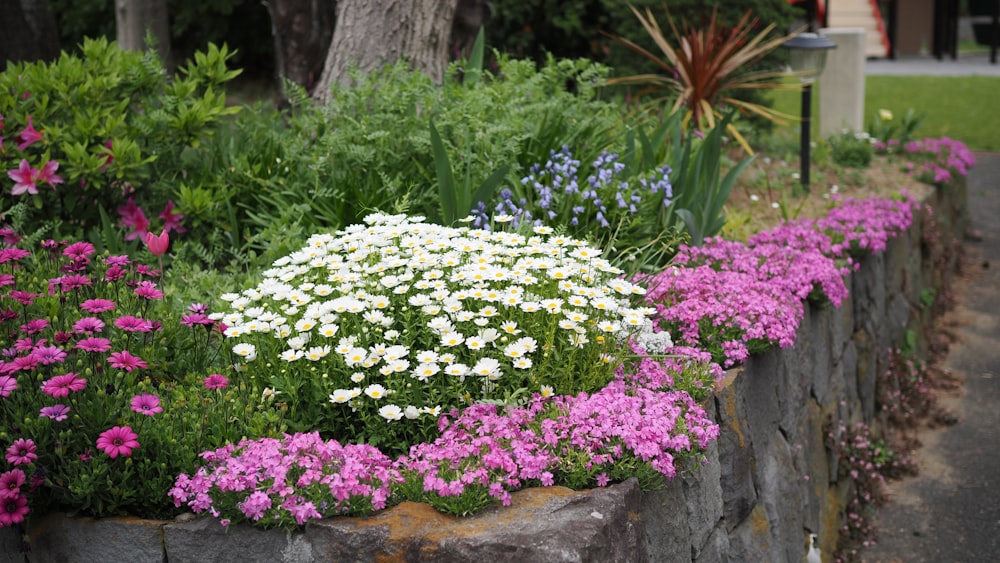 a garden with flowers and a stone wall