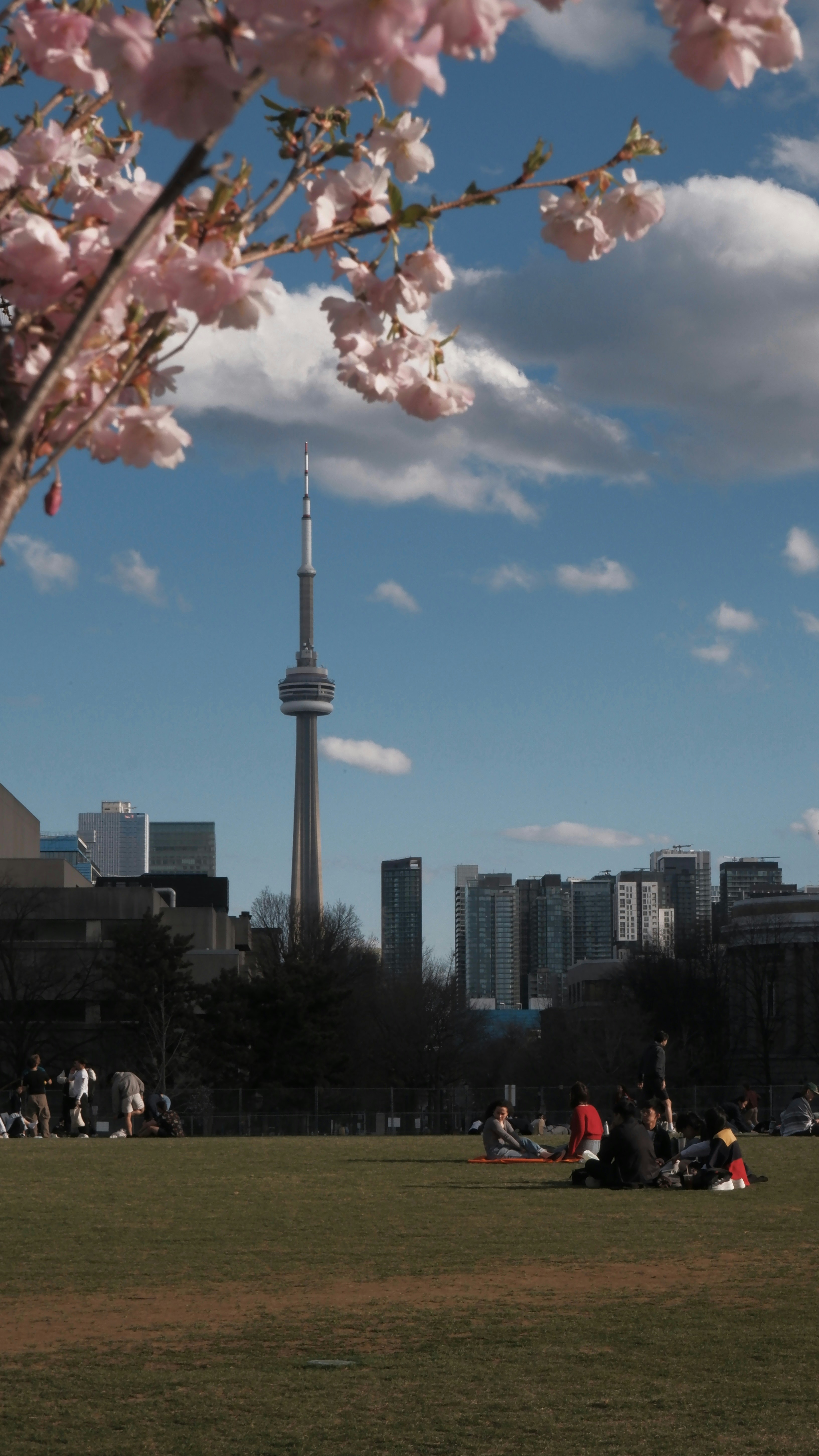 un gruppo di persone sedute in cima a un campo verde lussureggiante