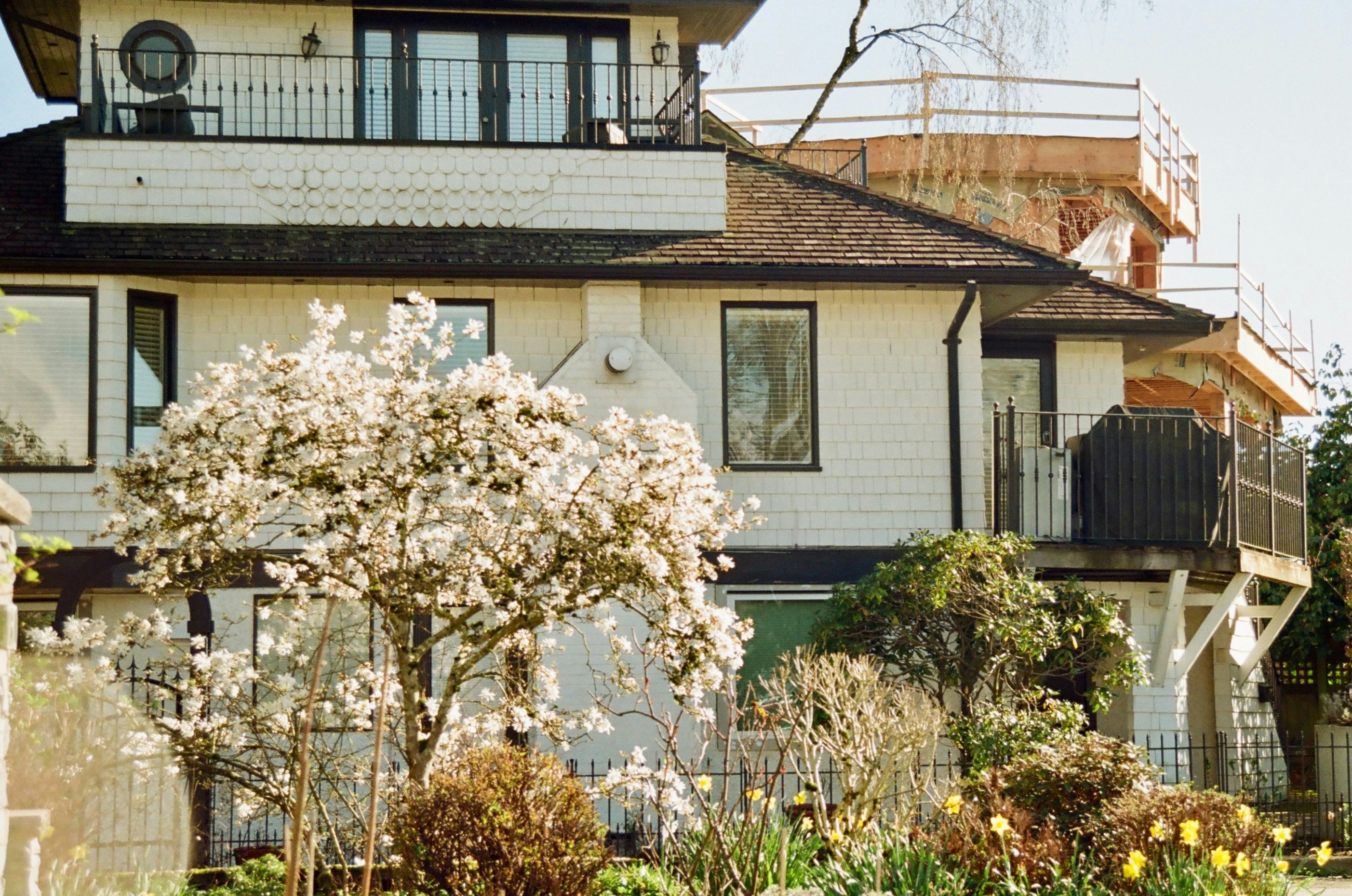 North Park Craftsman, single-family, duplex, pet-friendly house, cottage, ADU, outdoor space - house for rent north park