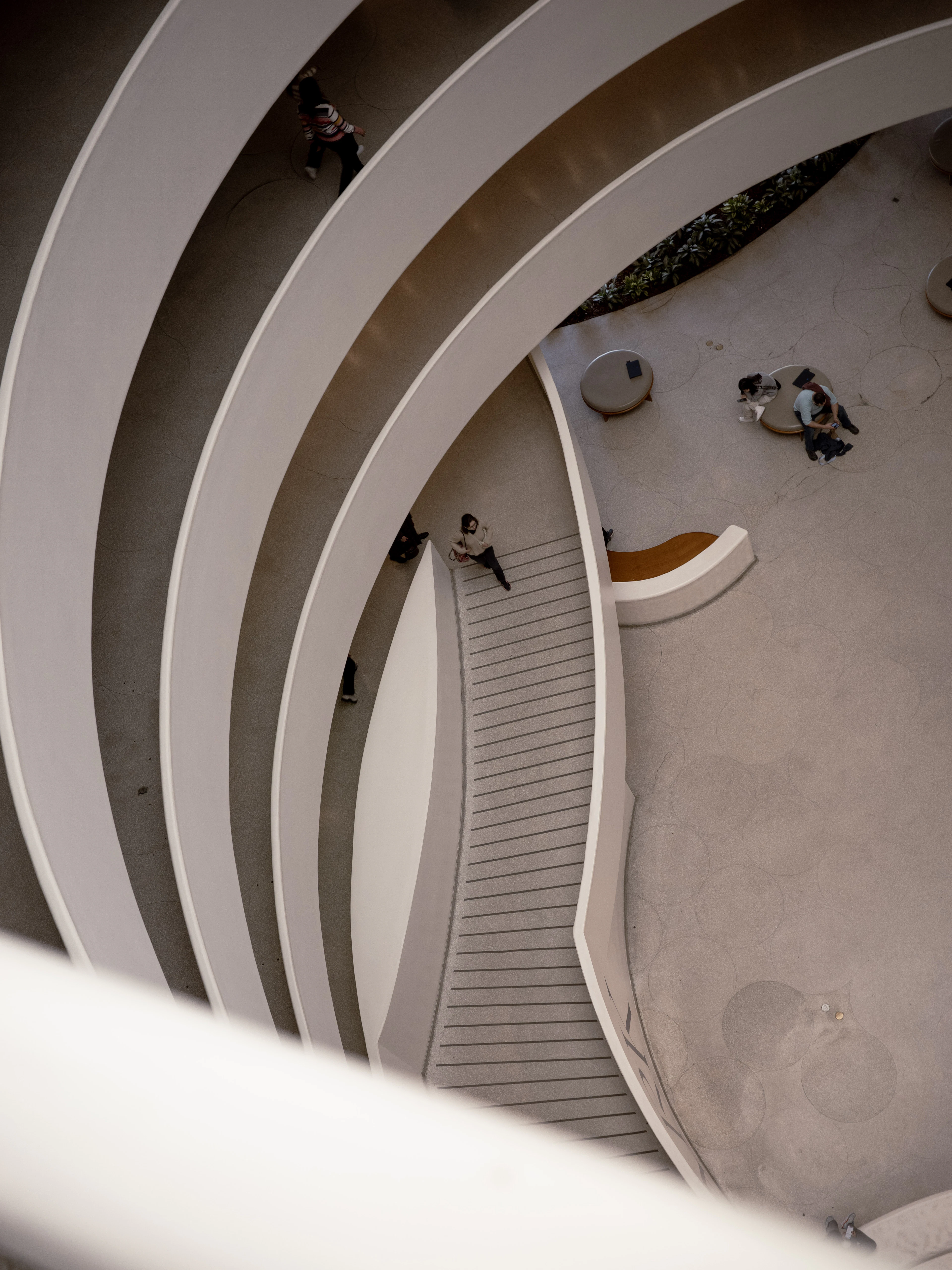 Looking down the spiralling white ramps of Frank Lloyd Wright's rotunda at the Solomon R. Guggenheim Museum, visitors small against the curves and the café tables on the ground floor far below