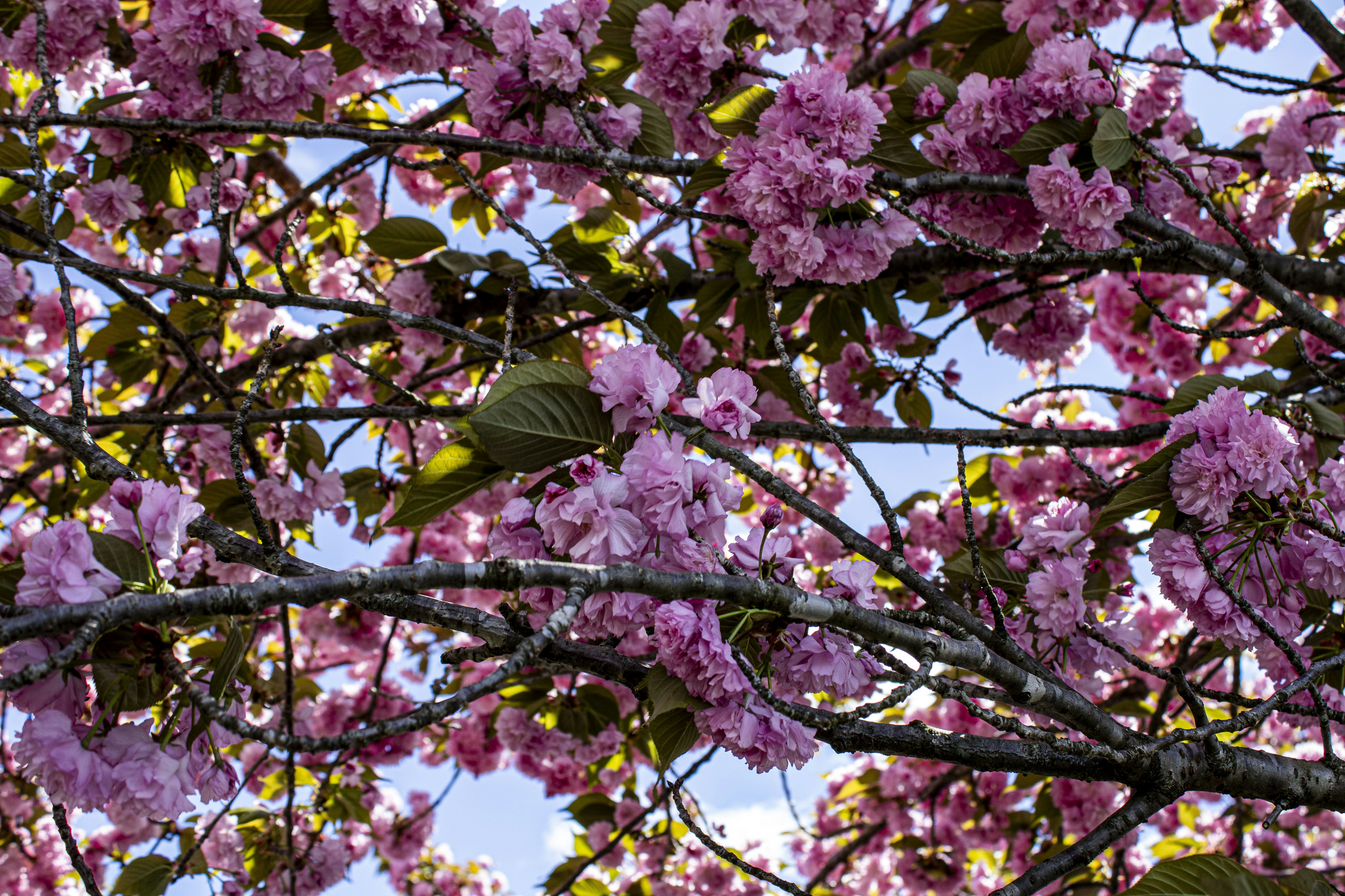 Photo by paigelaineelmer_photos