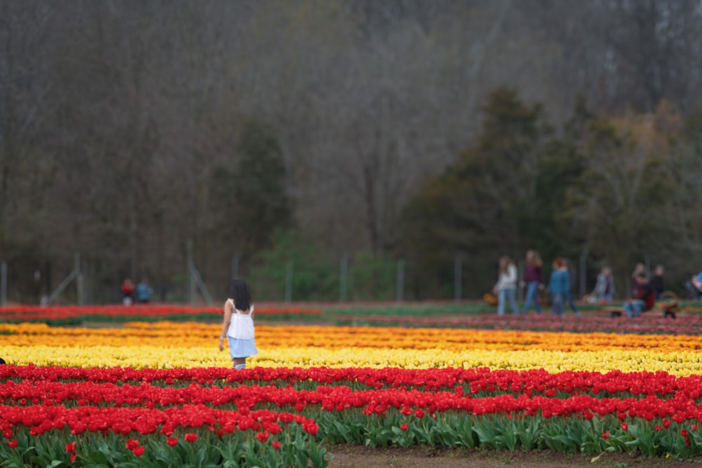 a little girl standing in a field of flowers