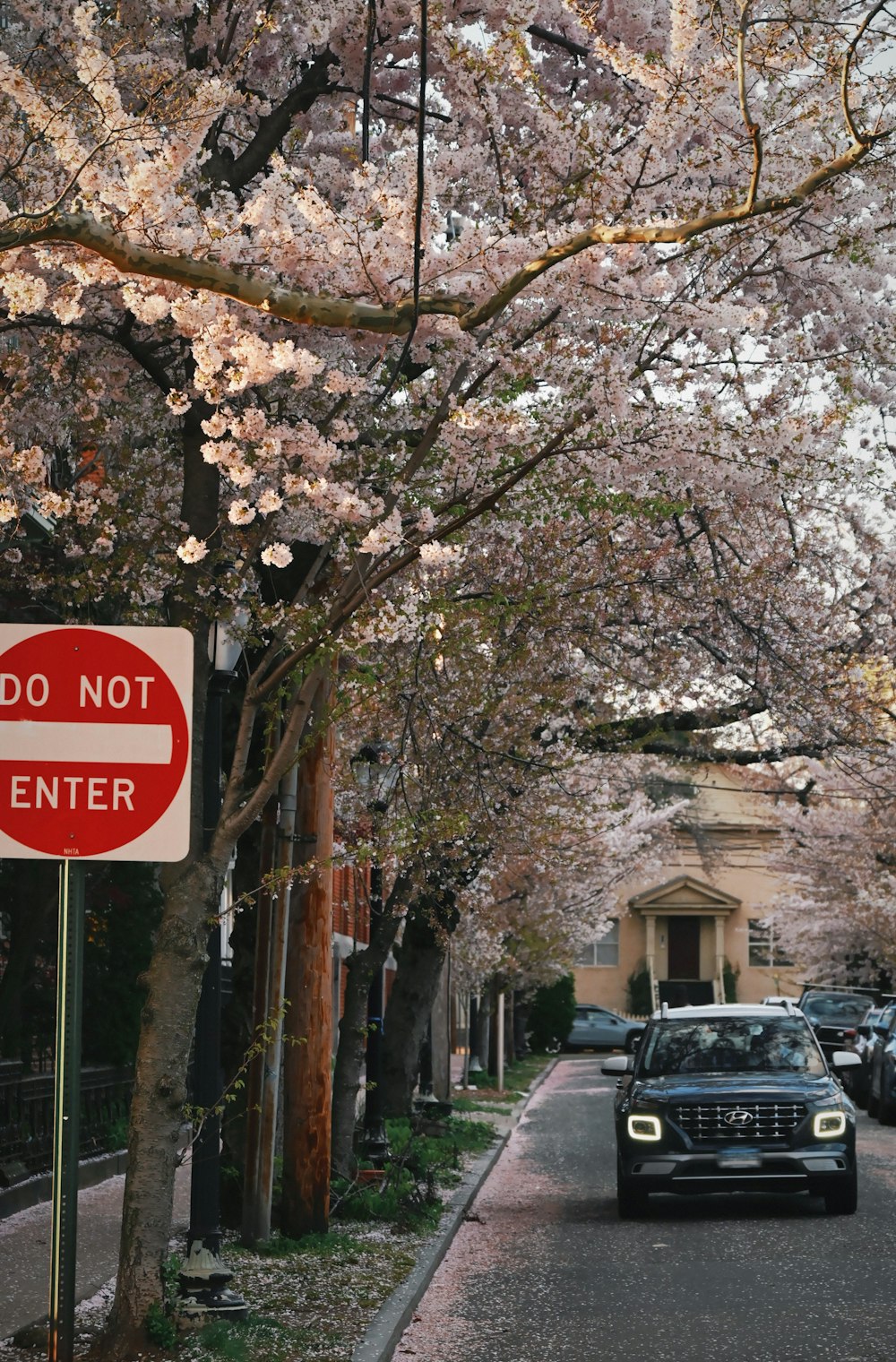 a red do not enter sign sitting on the side of a road