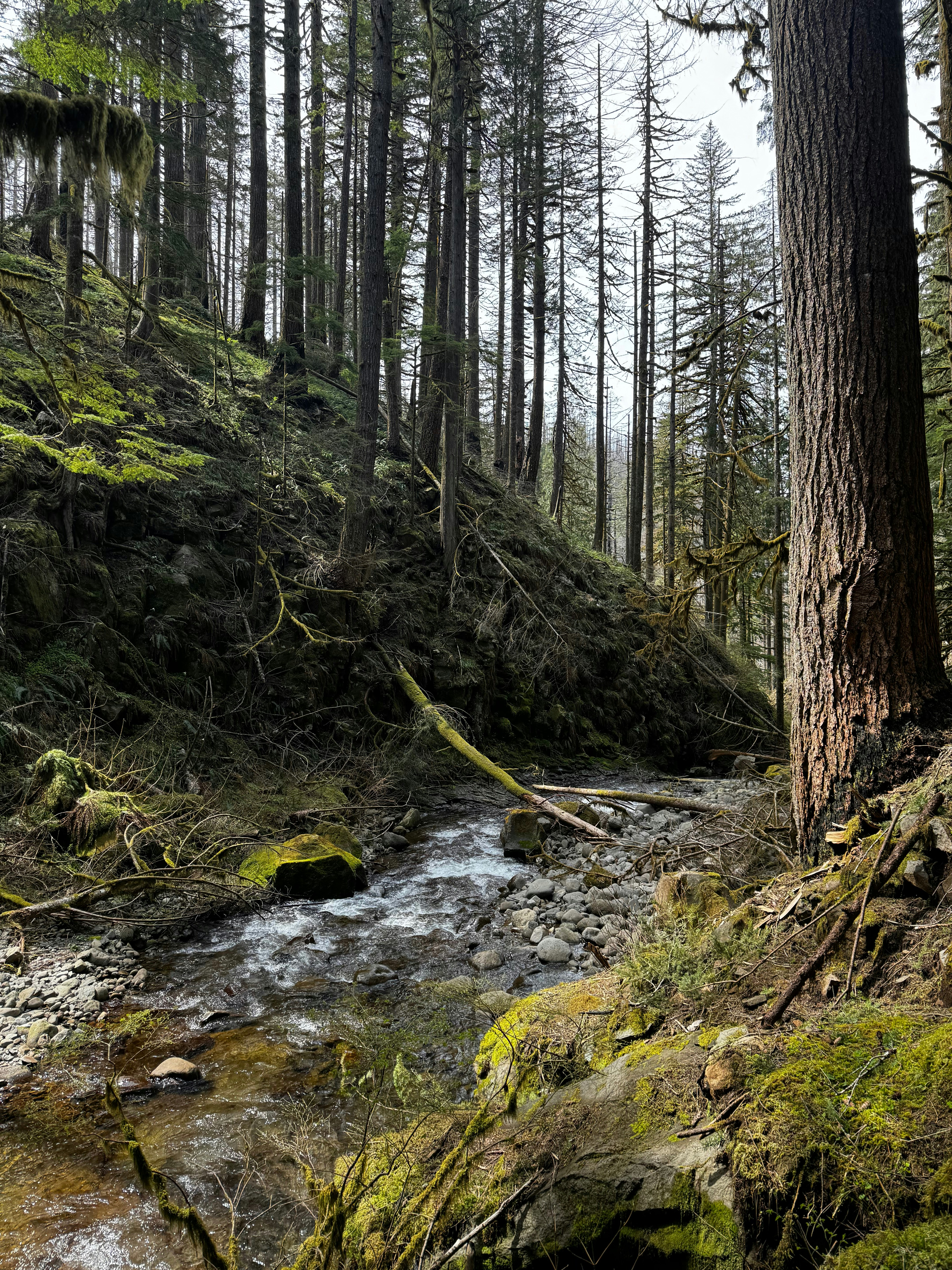 Photo by laitonbarbo