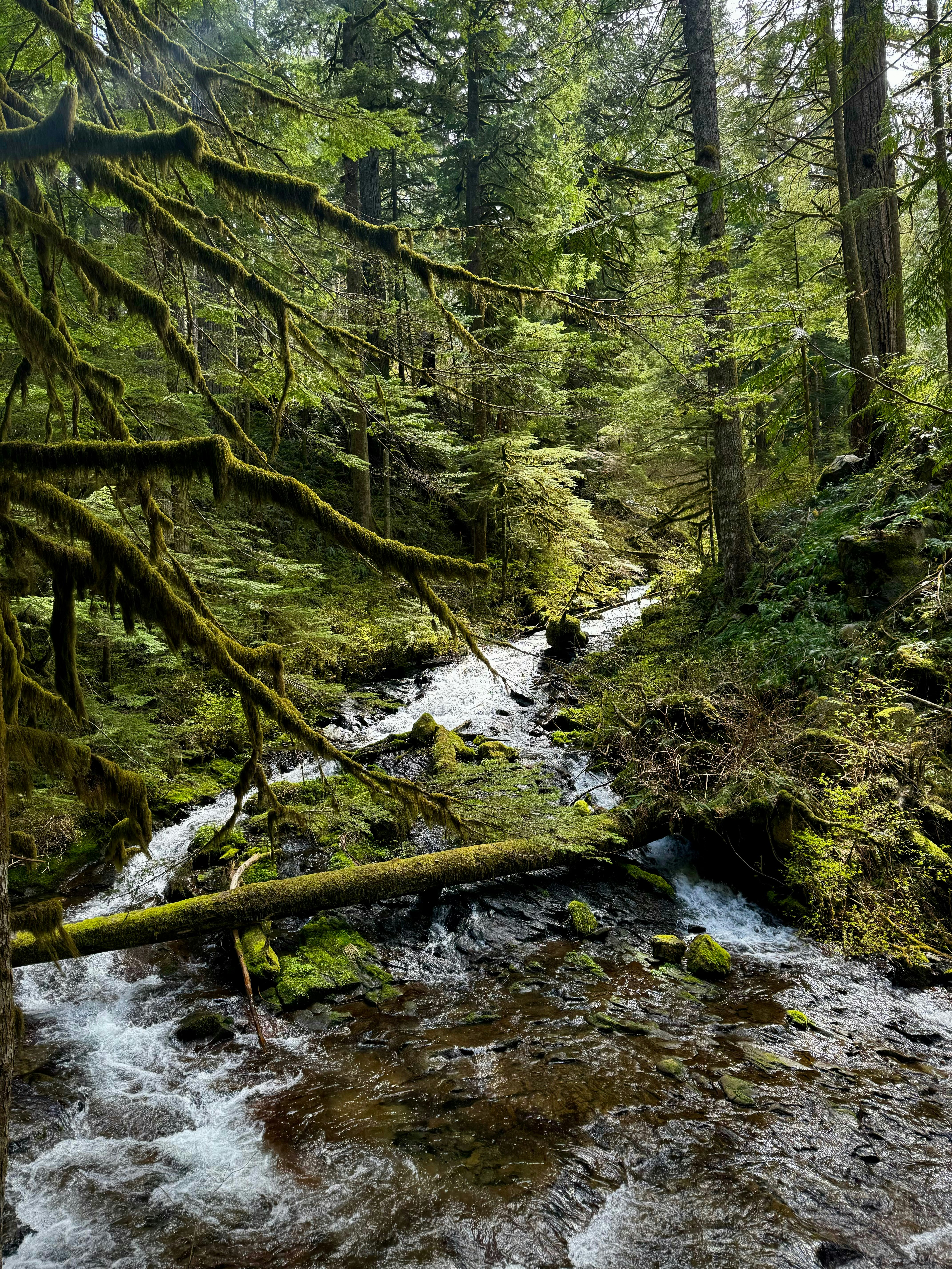 Photo by laitonbarbo