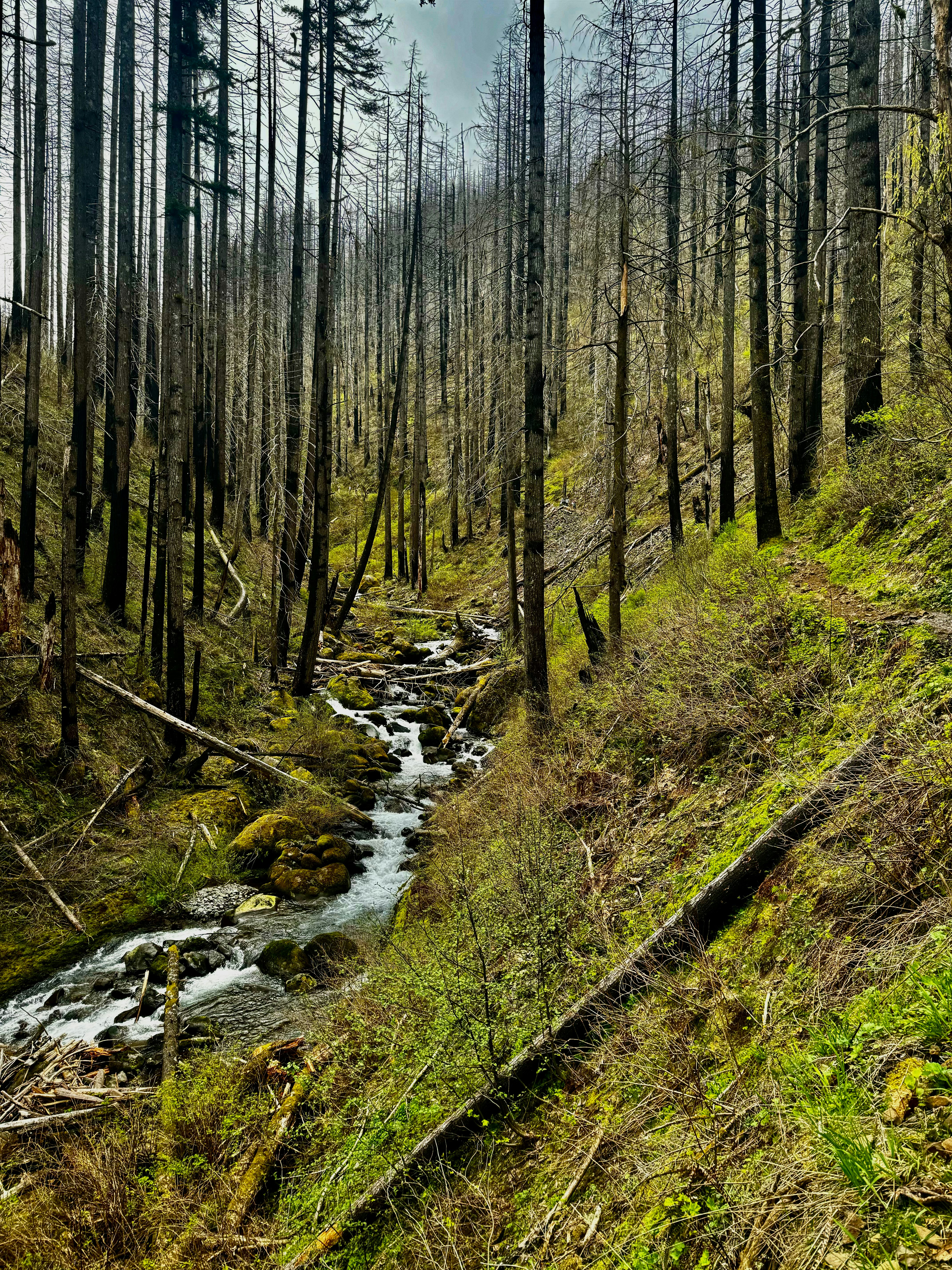 Photo by laitonbarbo