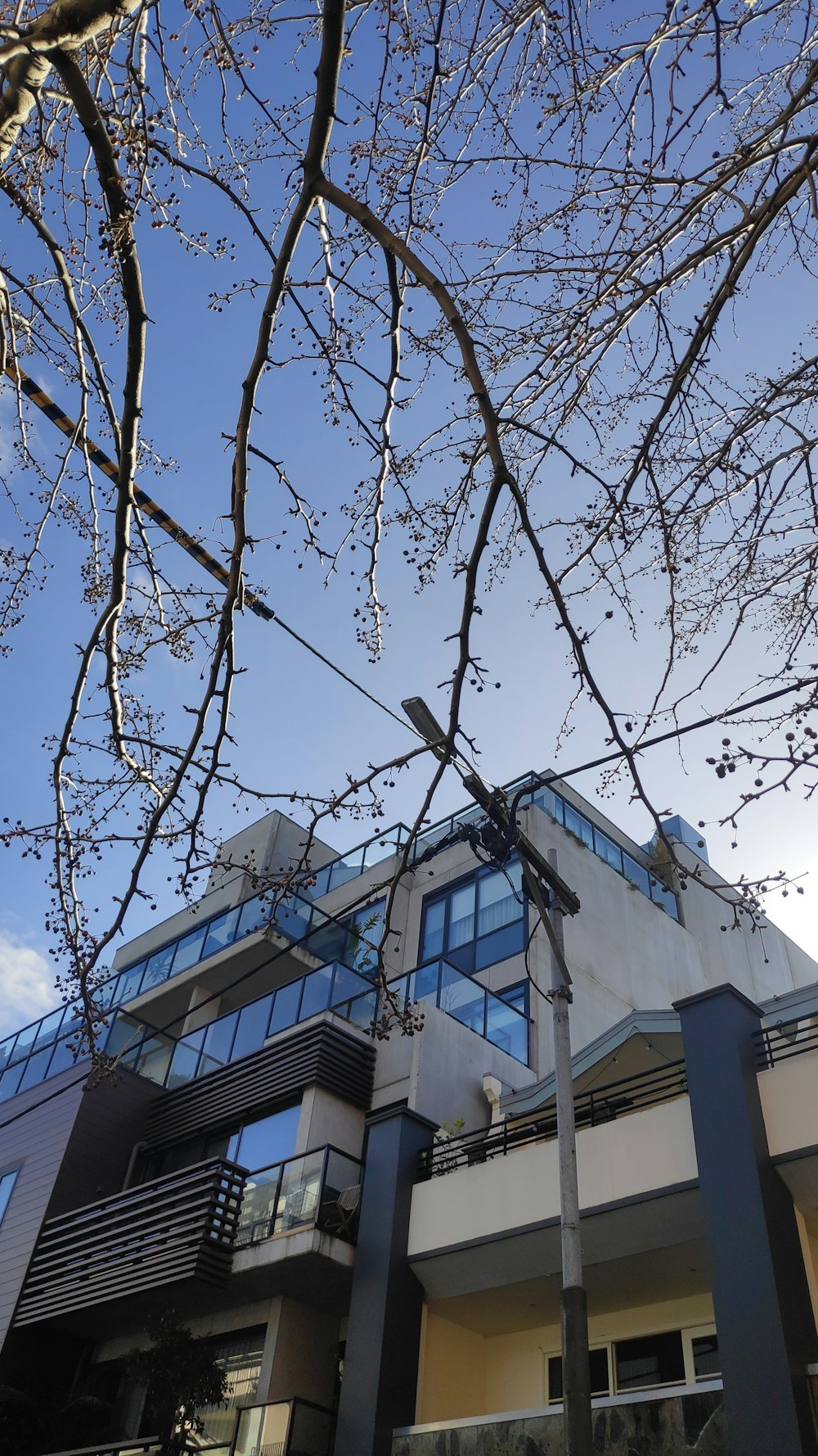 ein hohes Gebäude mit vielen Fenstern neben einem Baum