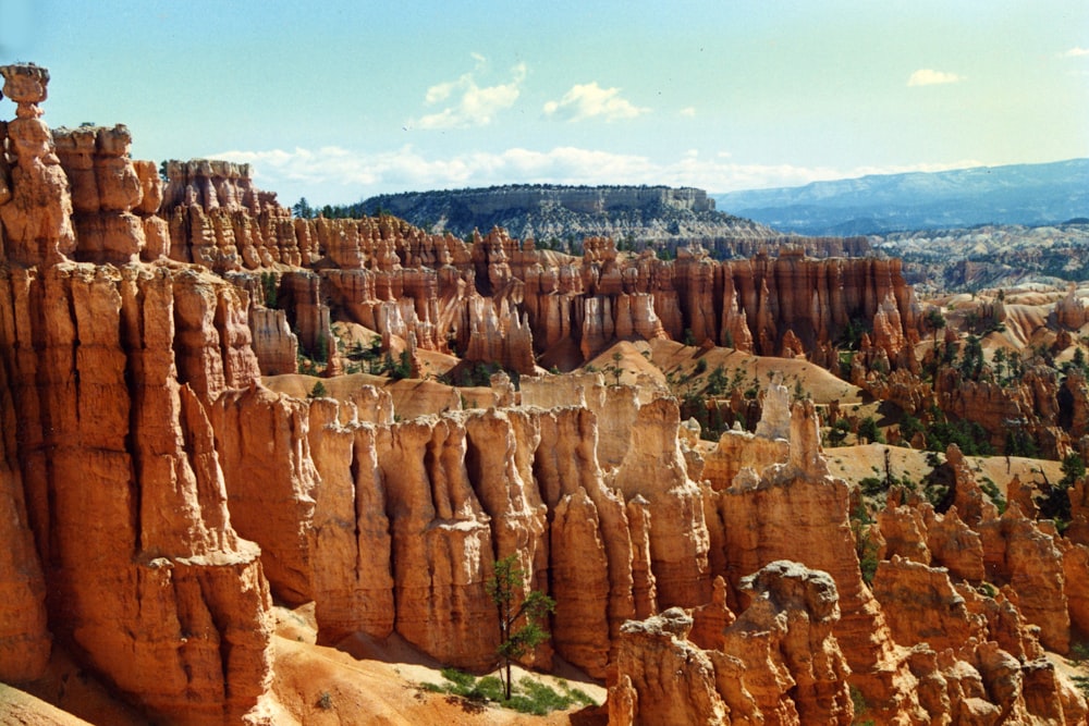 Une vue panoramique d’un canyon avec une montagne en arrière-plan