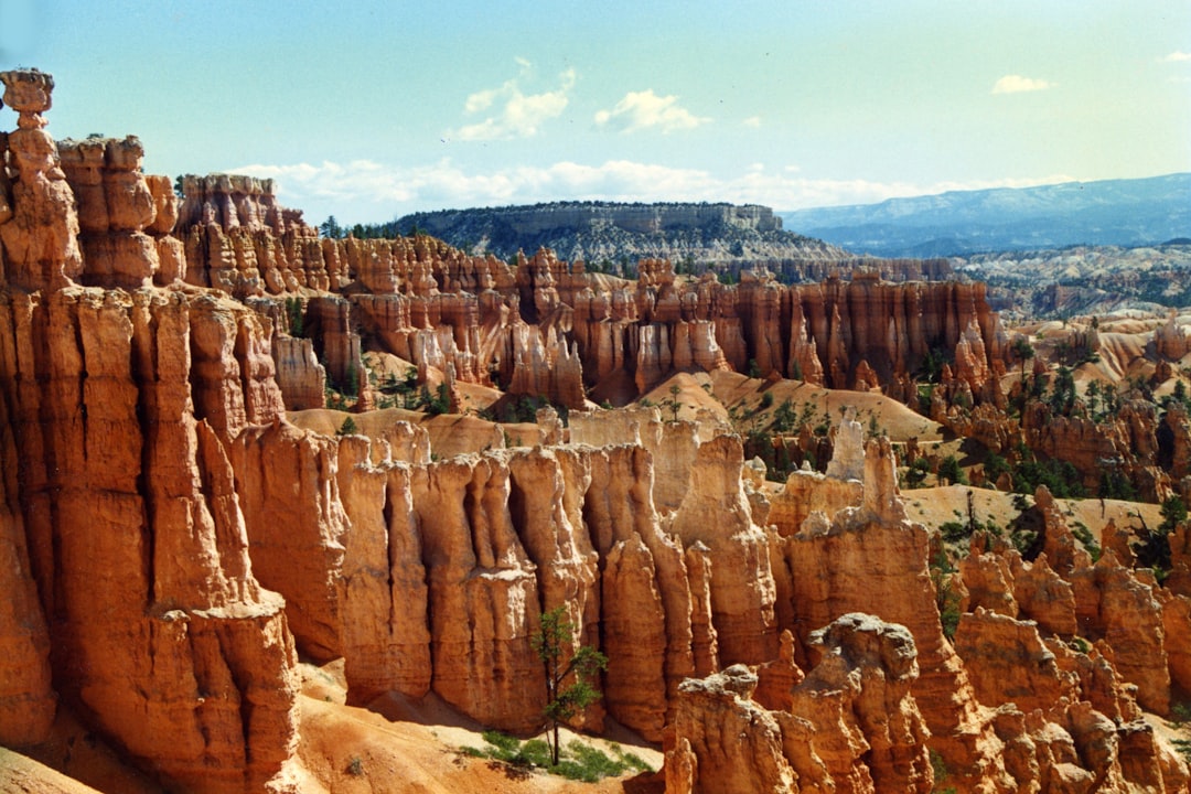 a scenic view of a canyon with a mountain in the background,