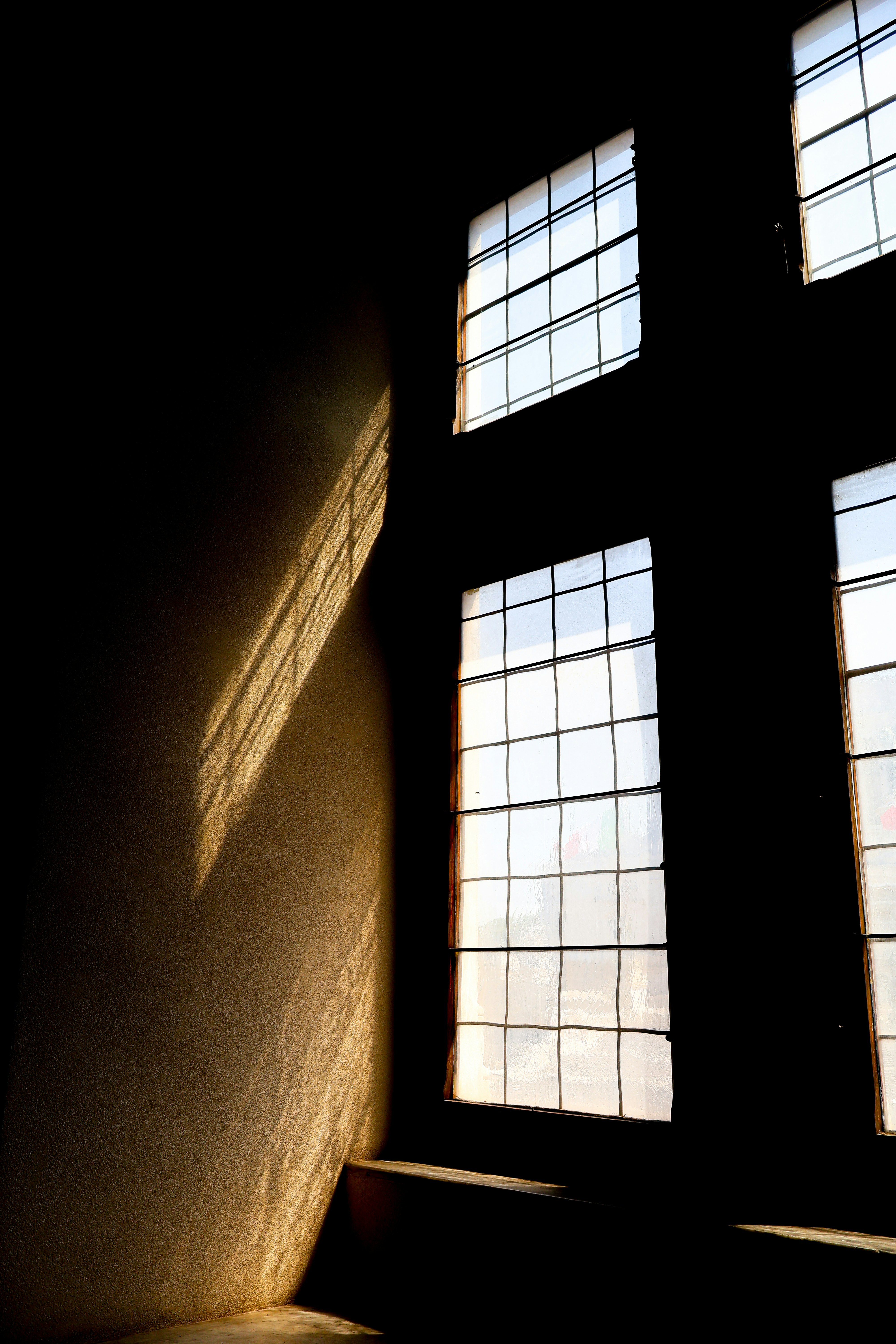 Photo by davidmkrtch