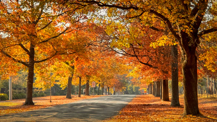 King Edward Park, Edmonton