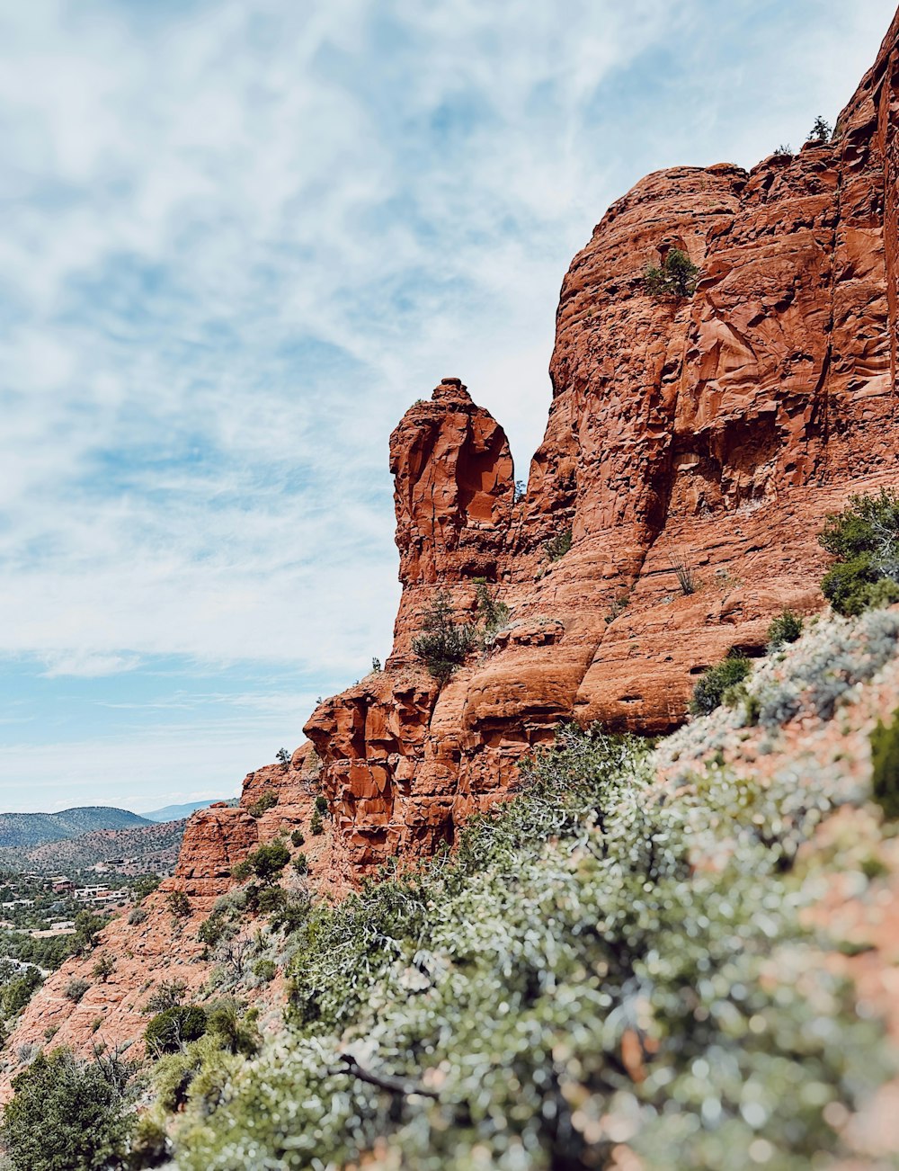 a rocky mountain with trees and bushes growing on it